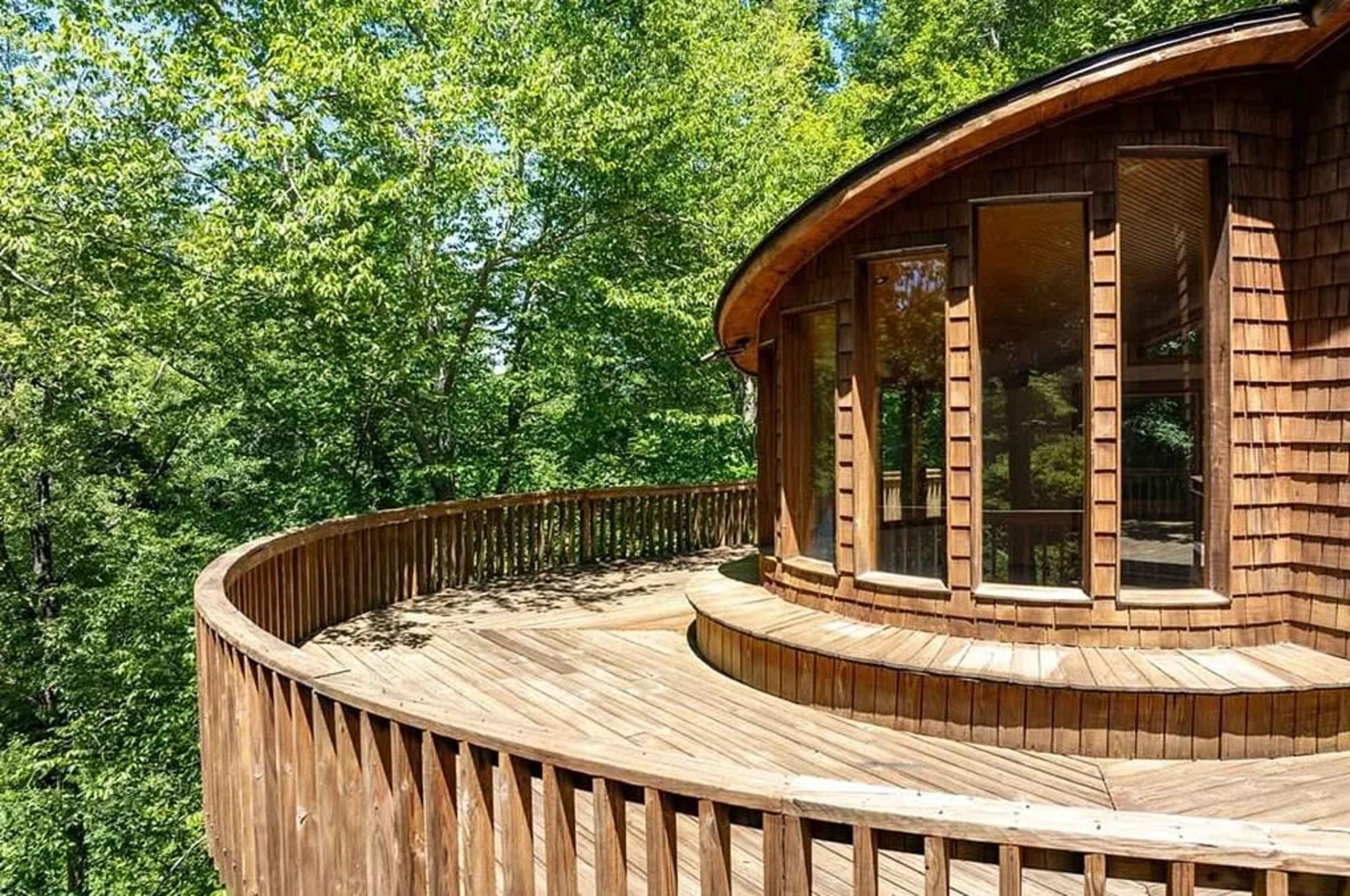 The image shows a wooden deck with a curved design, surrounded by lush green trees and featuring large windows that provide a view of the forest.