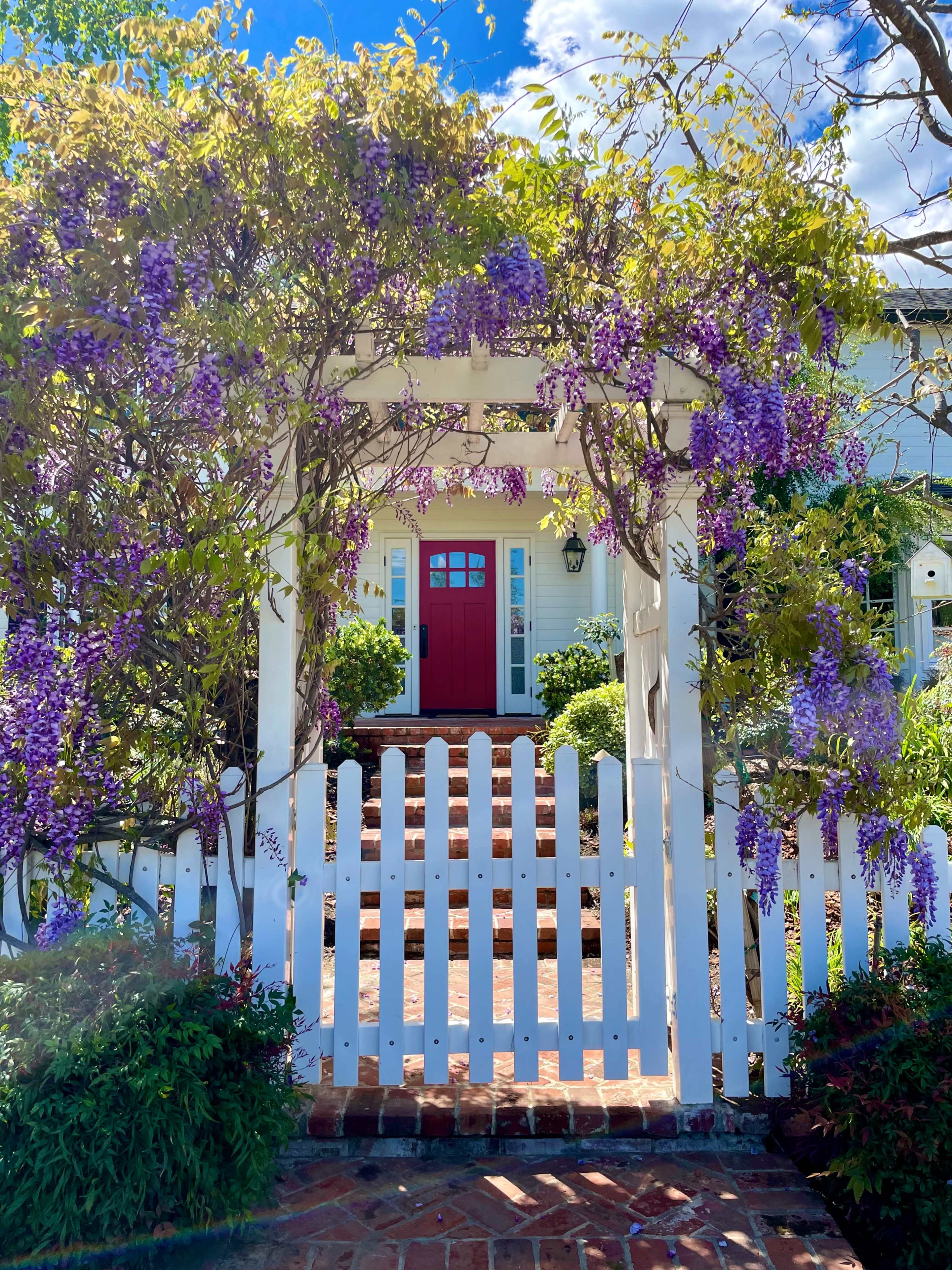 A white picket fence frames a pathway leading to a red front door, surrounded by blooming wisteria.