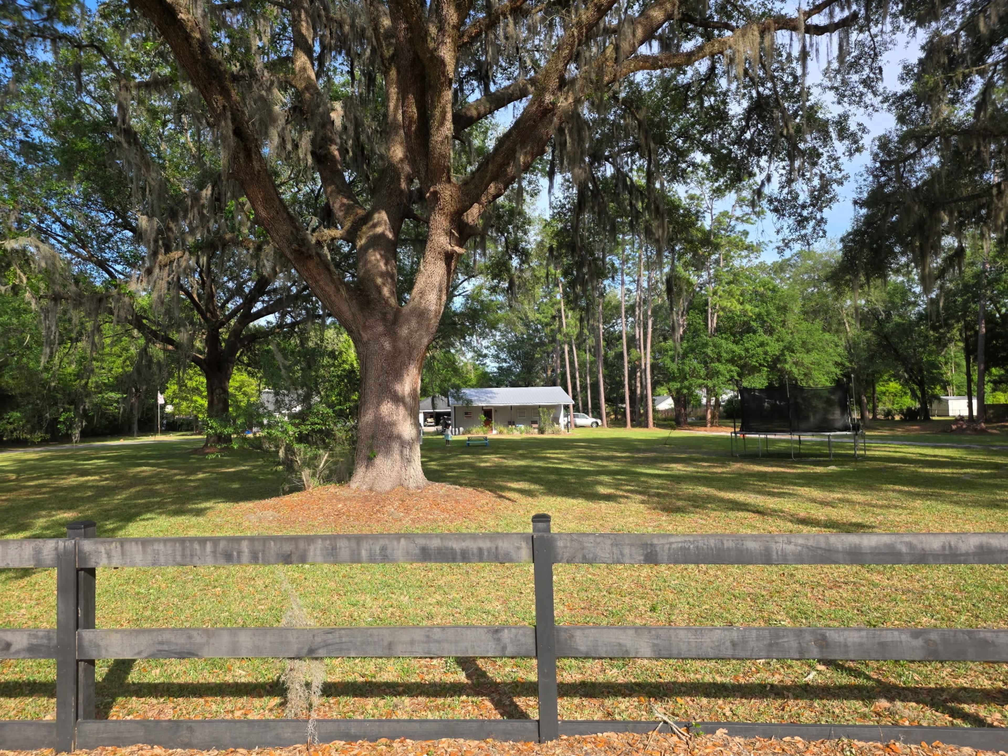 A large oak tree with Spanish moss stands in a grassy area, overlooking a white tent and a trampoline surrounded by a wooden fence.