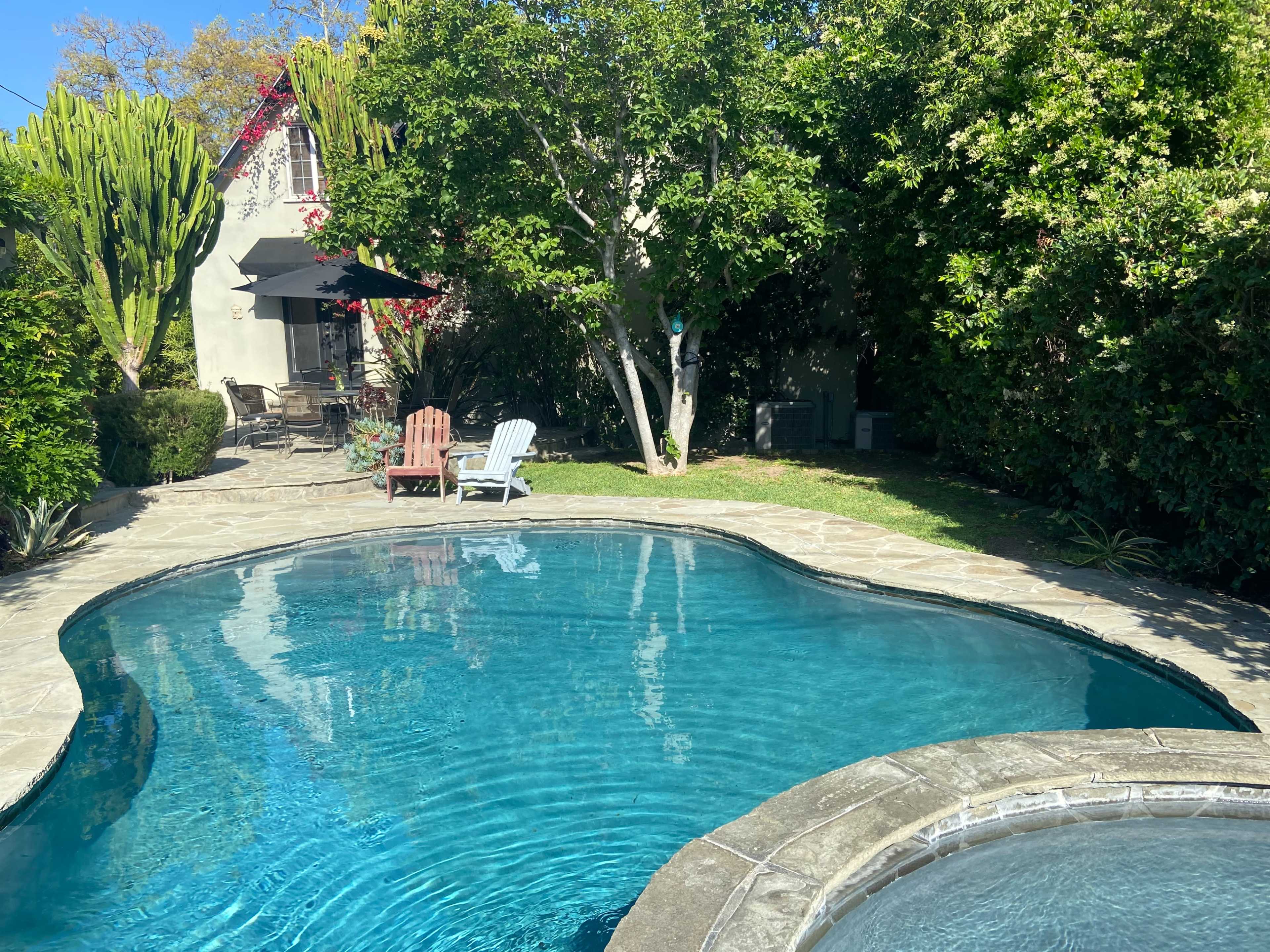 The image shows a curved swimming pool surrounded by stone paving, with lounge chairs and greenery in the background.