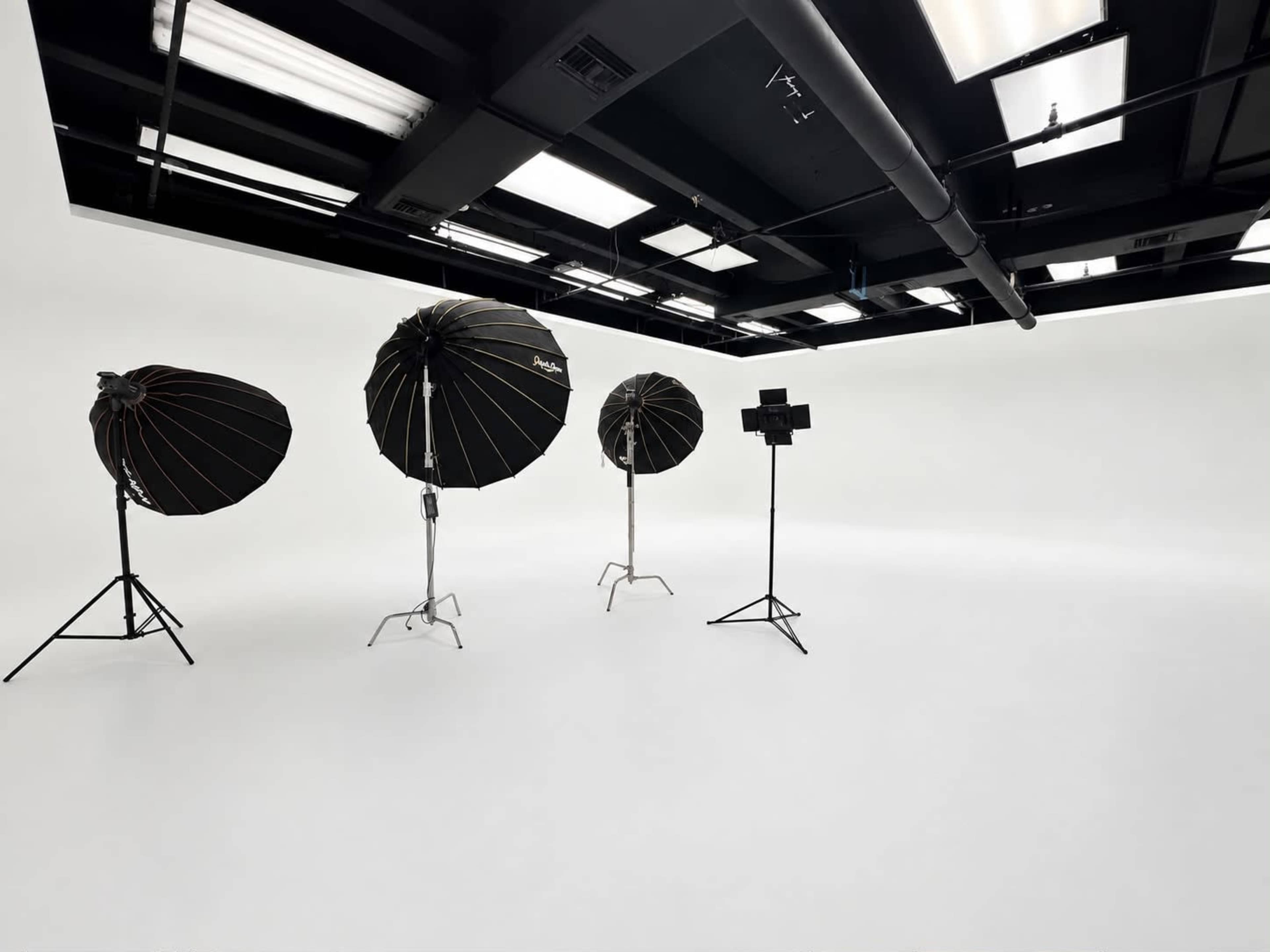 The image depicts a photography studio with four black umbrella lights set up on tripods against a plain white background.