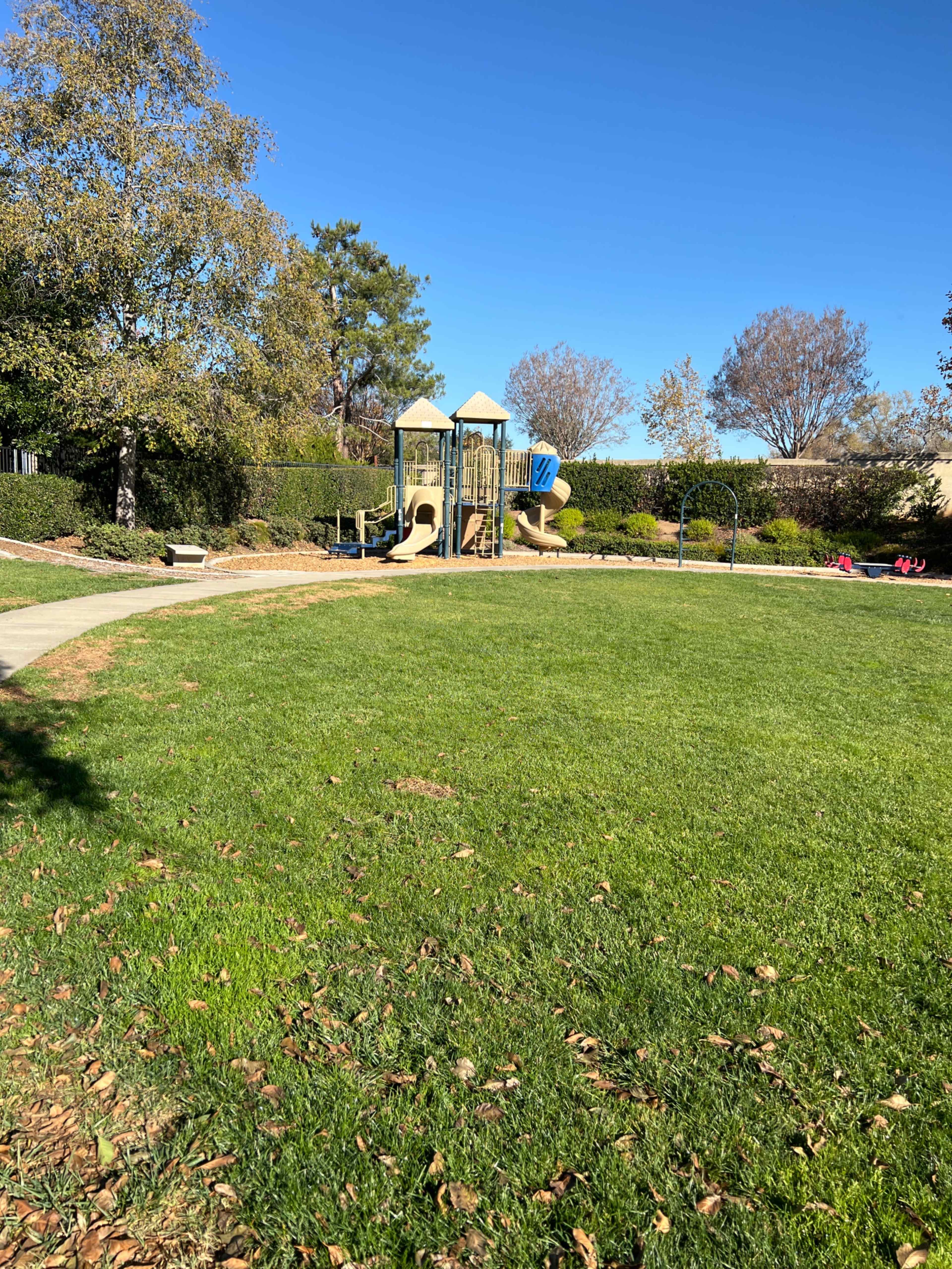 A playground with two slides sits on a grassy area surrounded by trees and walking paths on a clear day.