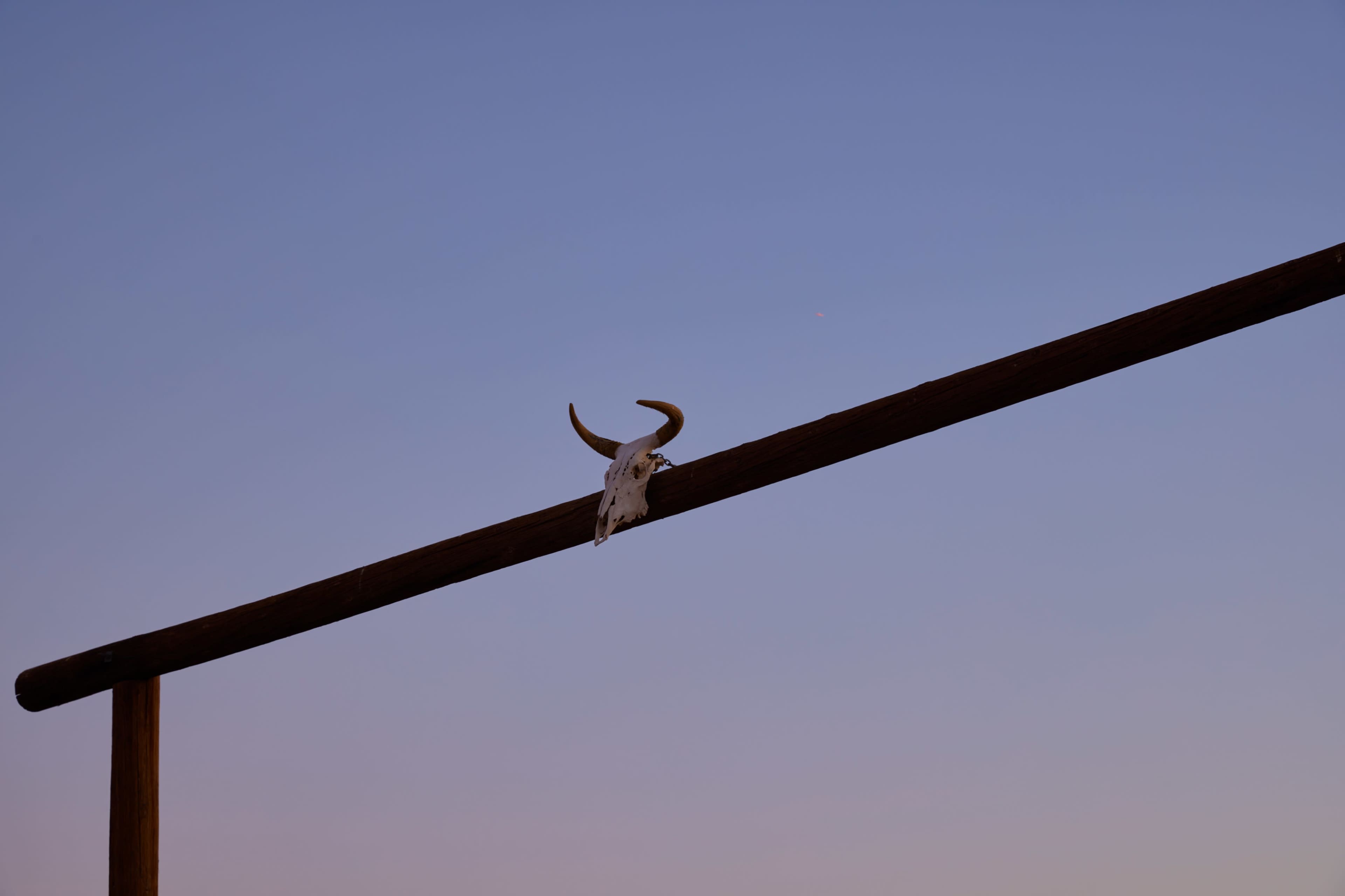 A longhorn skull is mounted on a wooden beam against a gradient sky at dusk.
