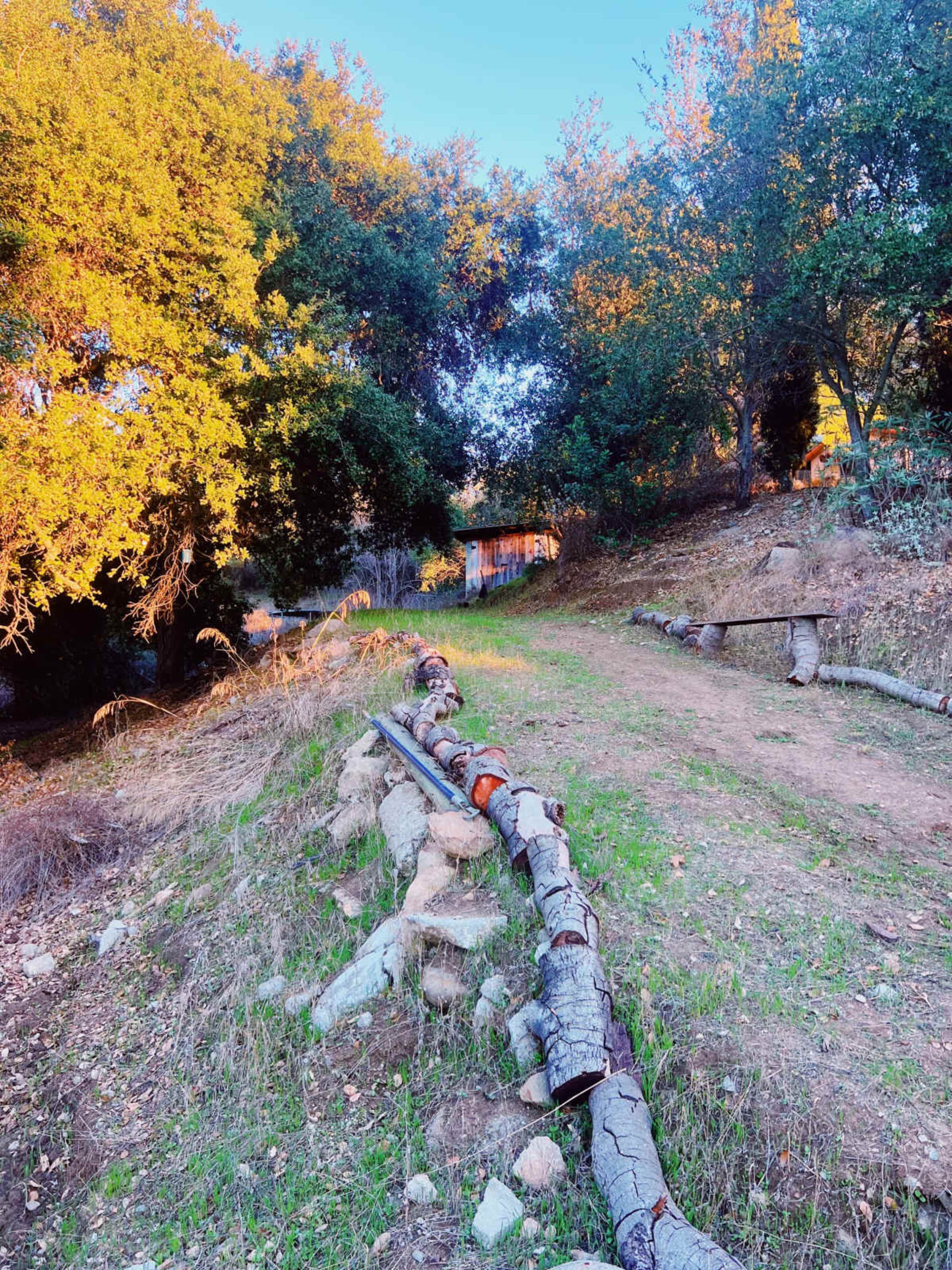 A worn dirt path lined with logs and edged by trees leads towards a wooden structure in the background.