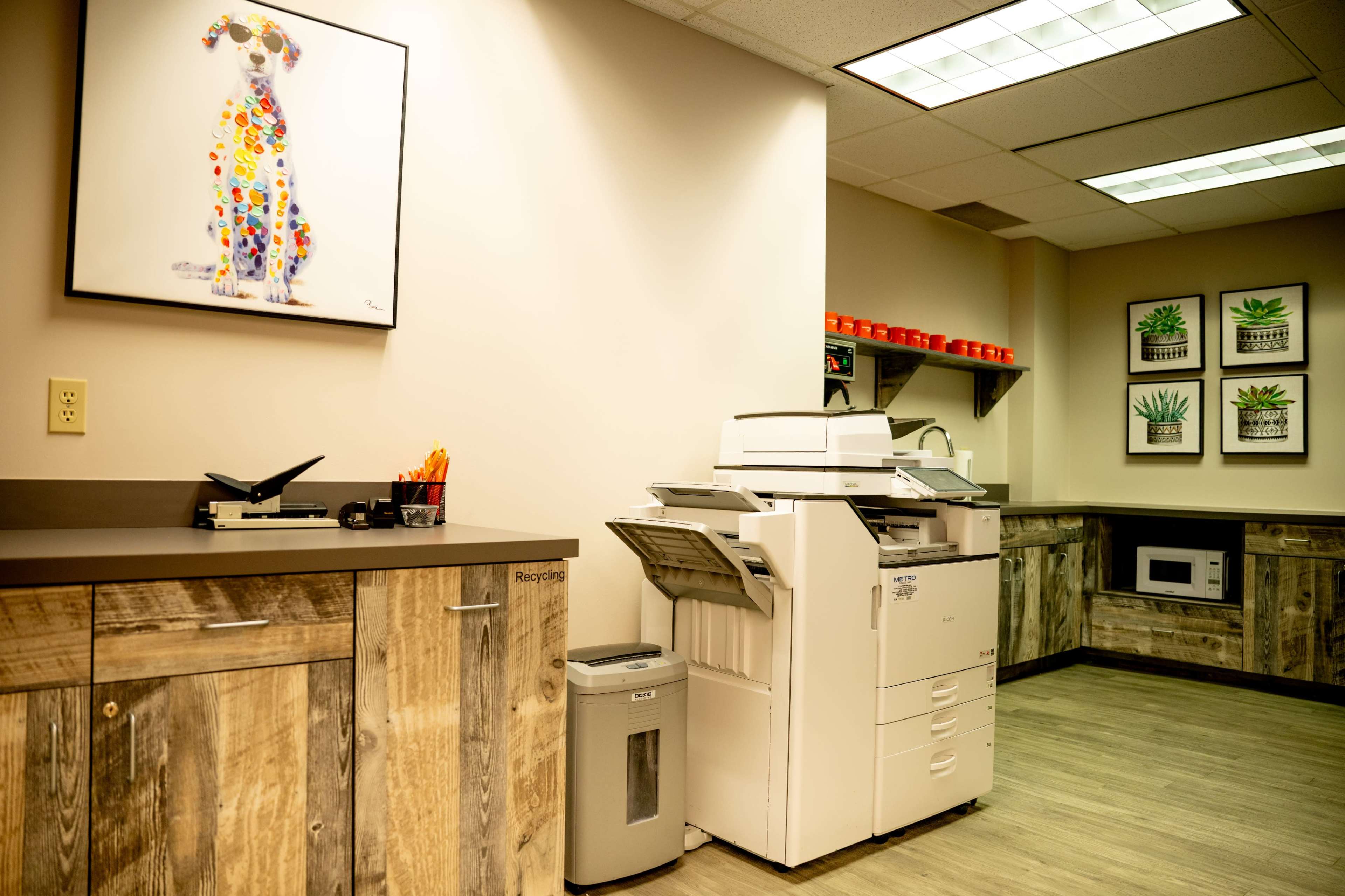 The image shows a reception area featuring a colorful dog artwork on the wall, a photocopier, and shelves holding plants and a microwave.