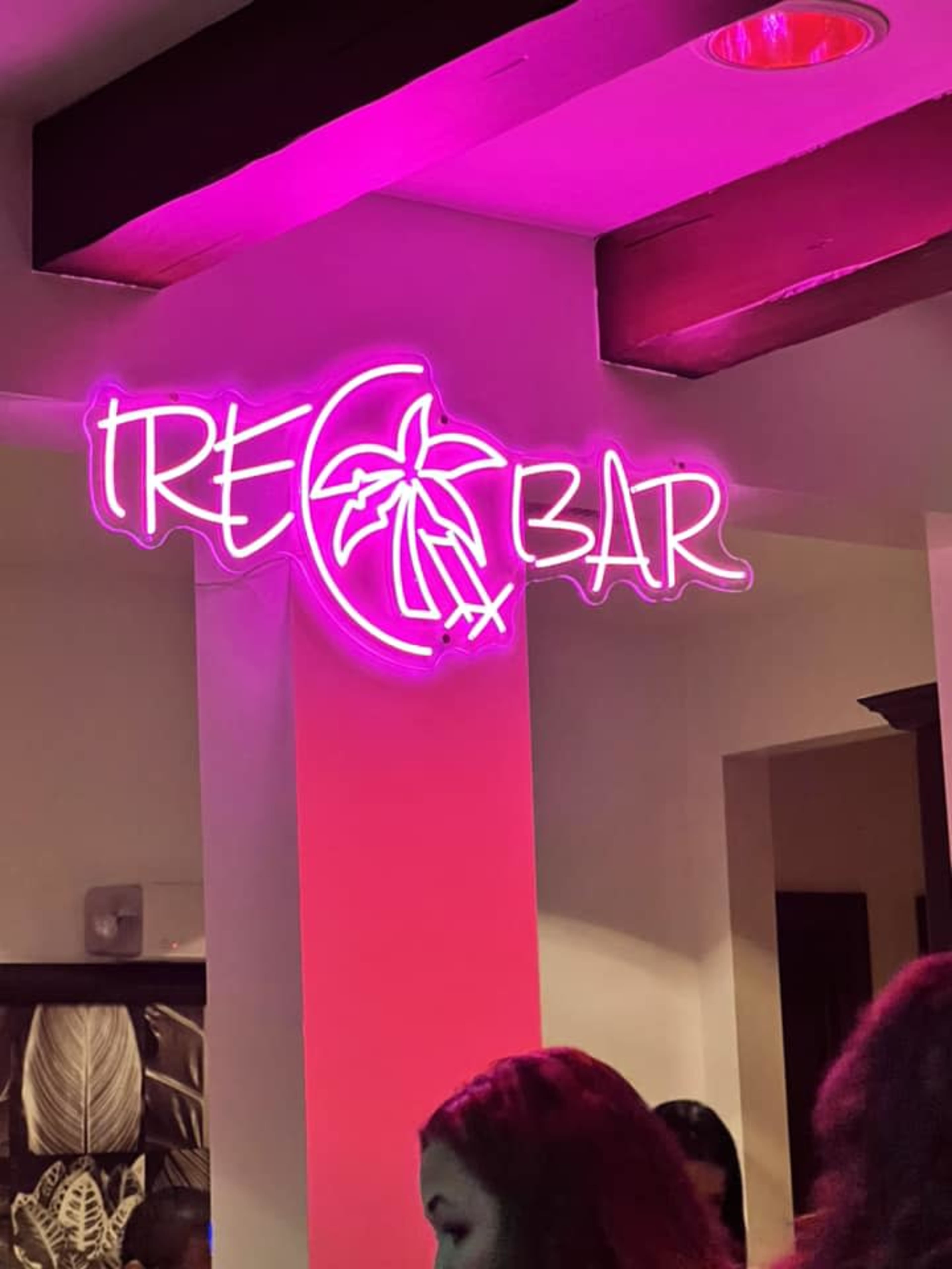 Swanky Unique Bar Space, Media Meeting w/ Sonos Music & Karaoke Image in Winter Park, Winter Park, FL