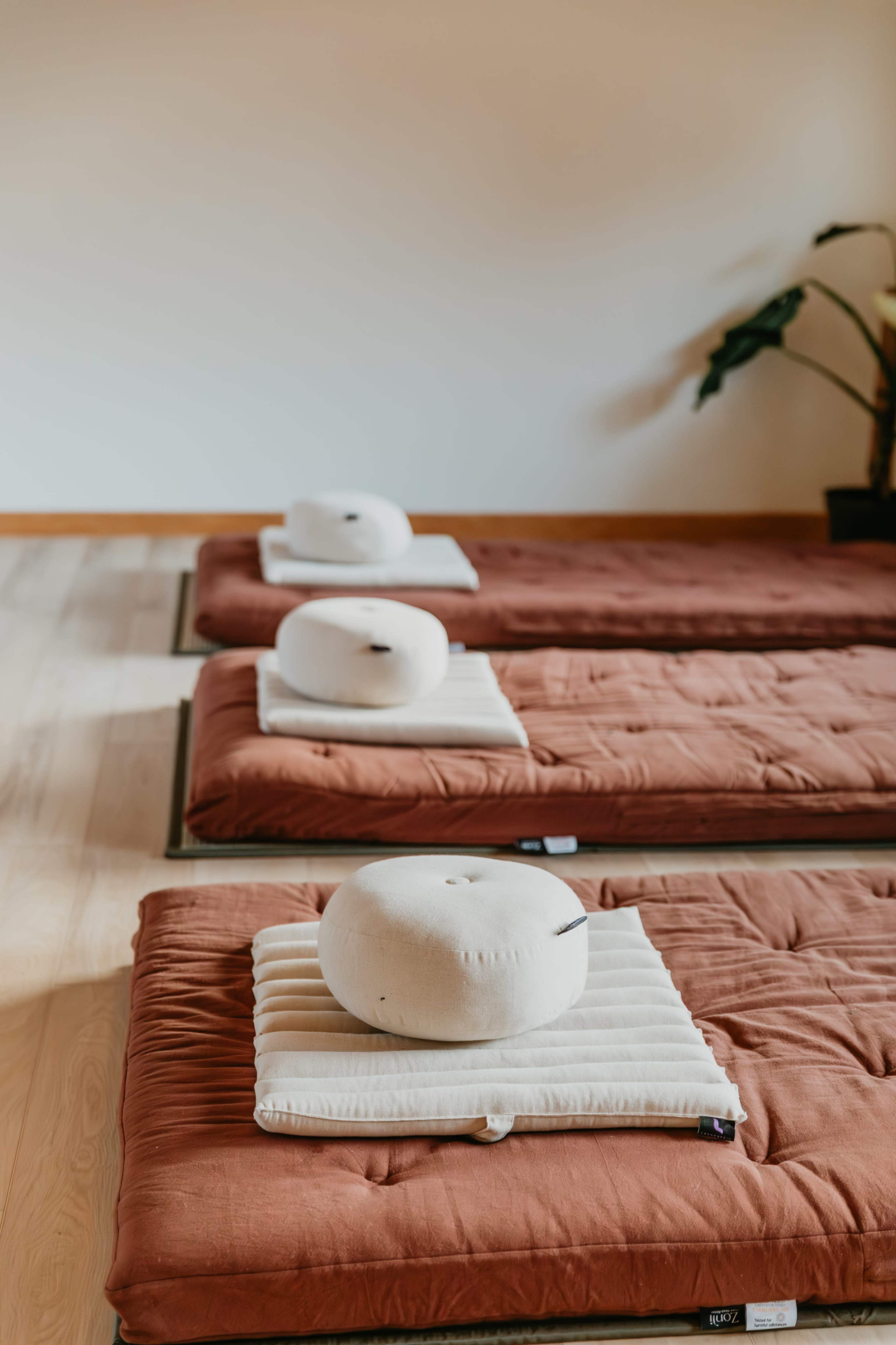 The image shows several meditation mats with round cushions placed on top, arranged in a serene indoor setting.