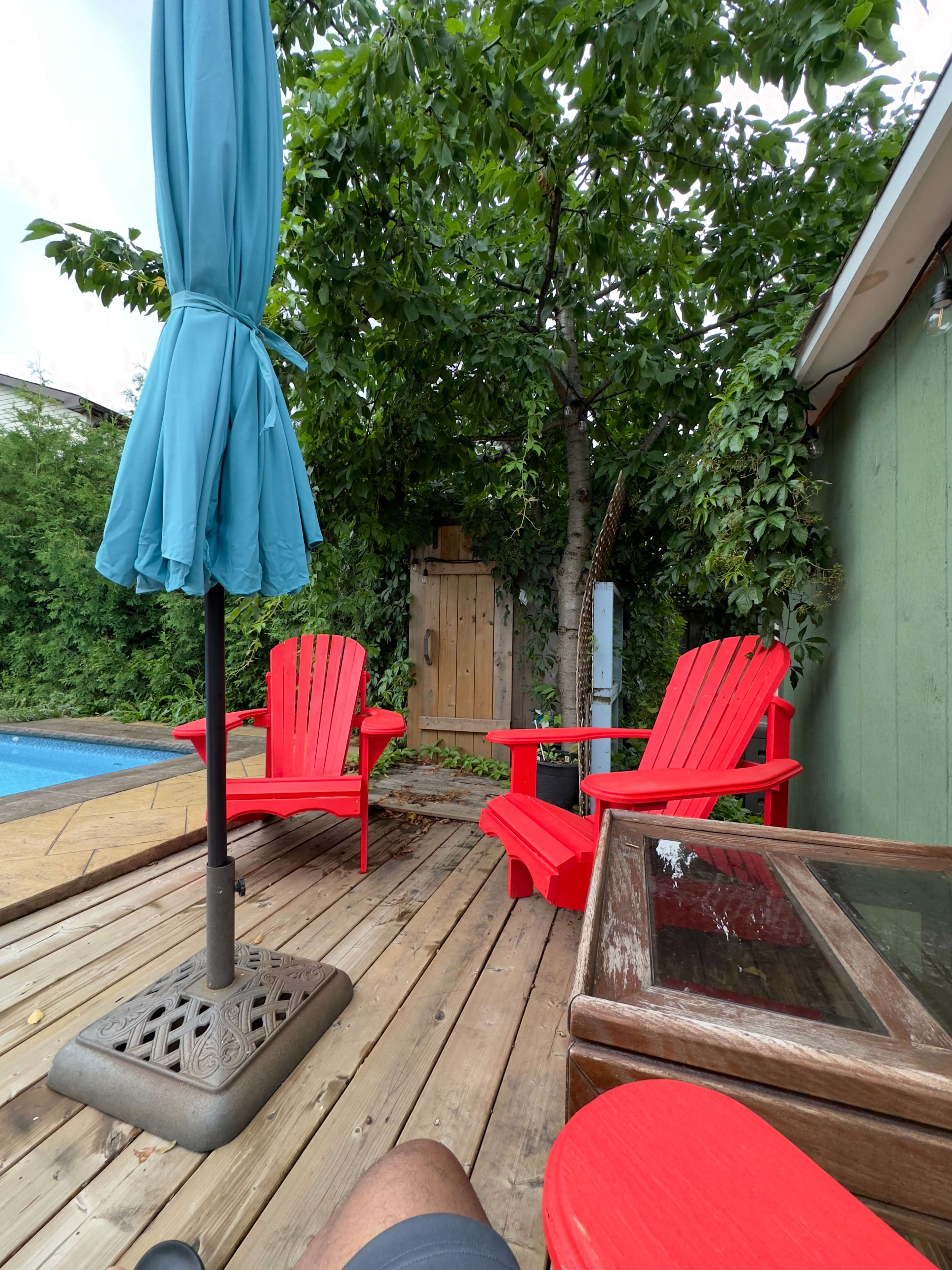 A wooden deck with two red Adirondack chairs, a blue umbrella, and a small shed partially obscured by greenery.