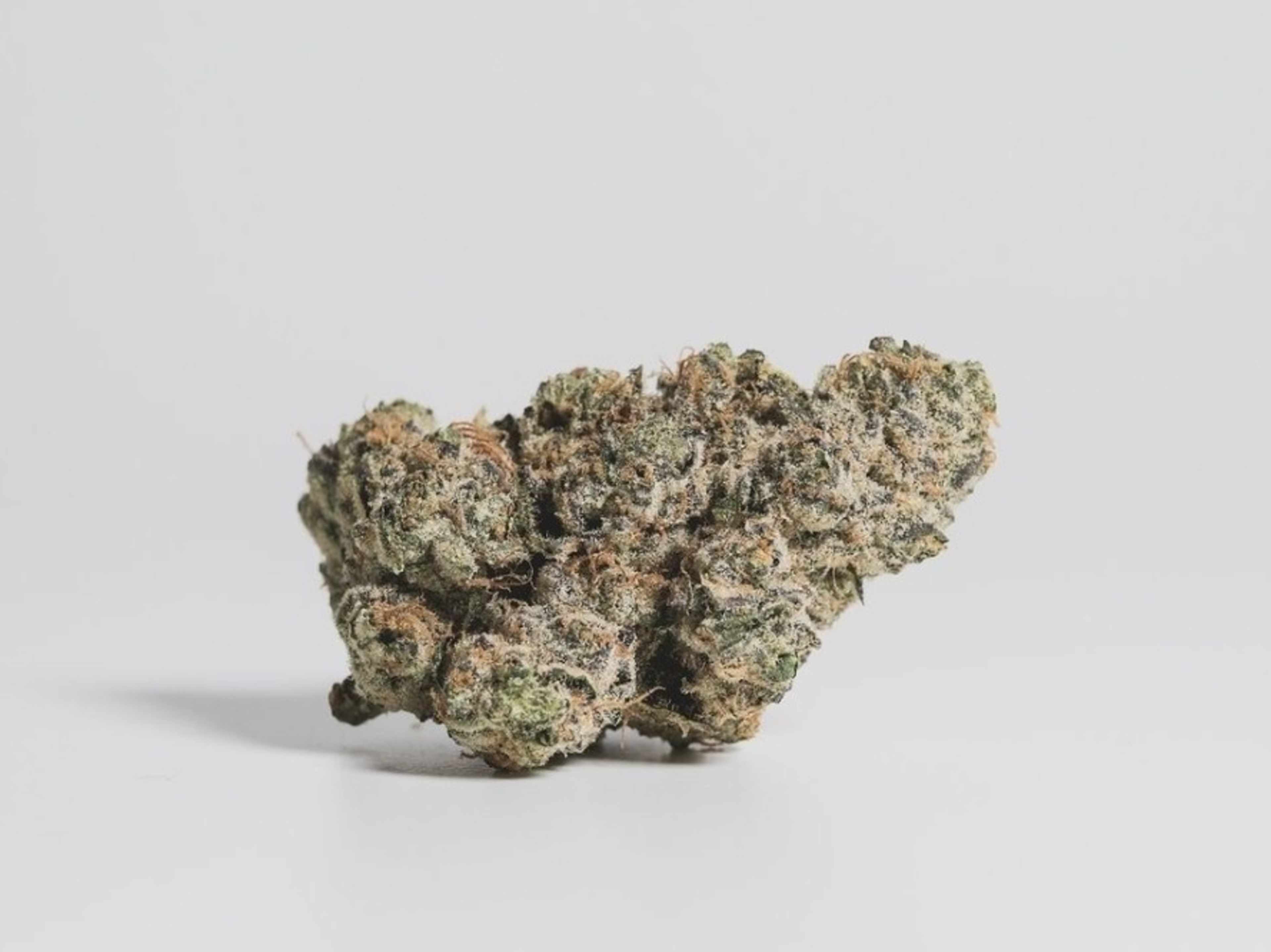 Cannabis Consumption 