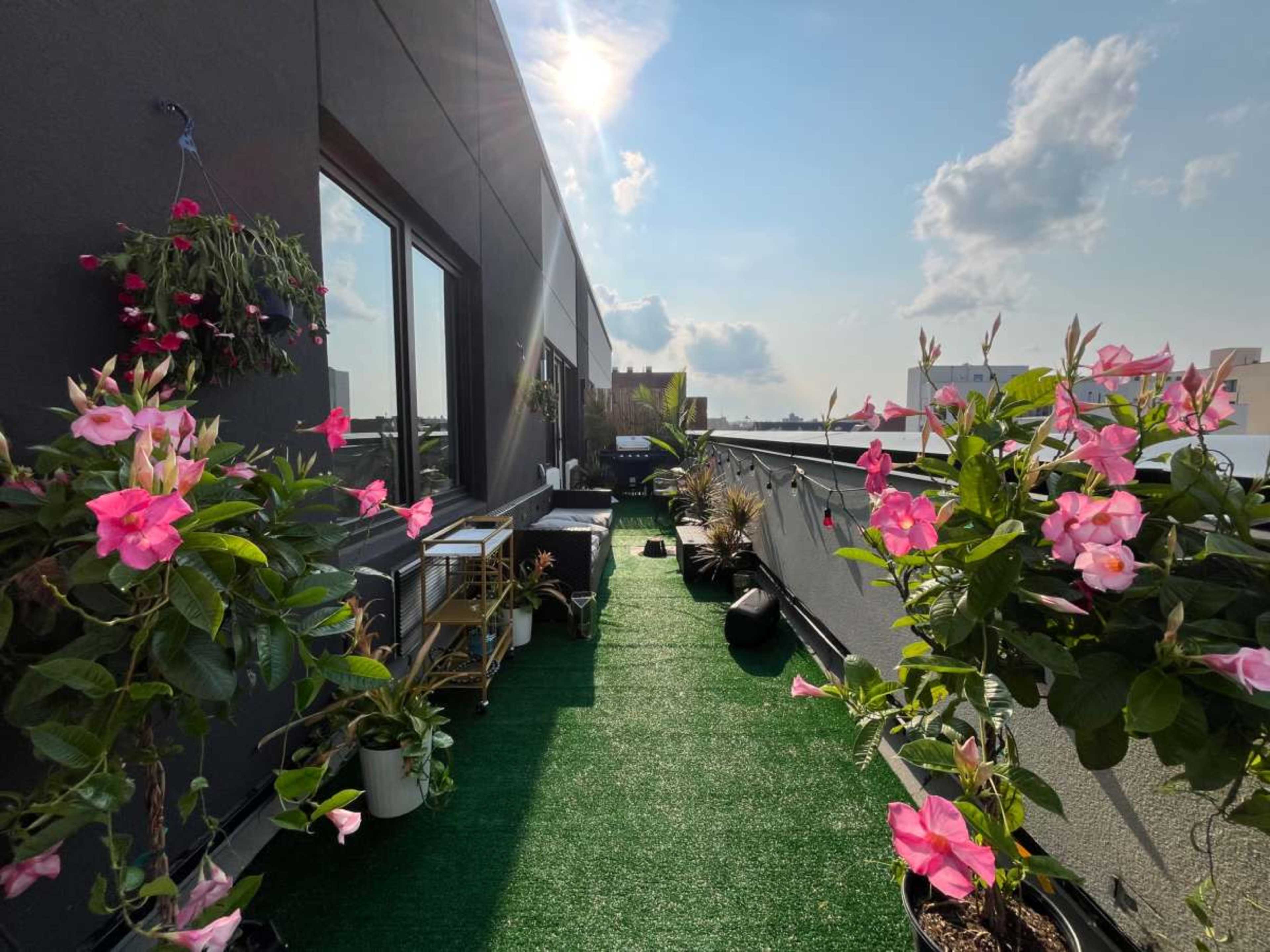 The image shows a rooftop terrace lined with flowering plants and a green carpet, under a bright sky with scattered clouds.