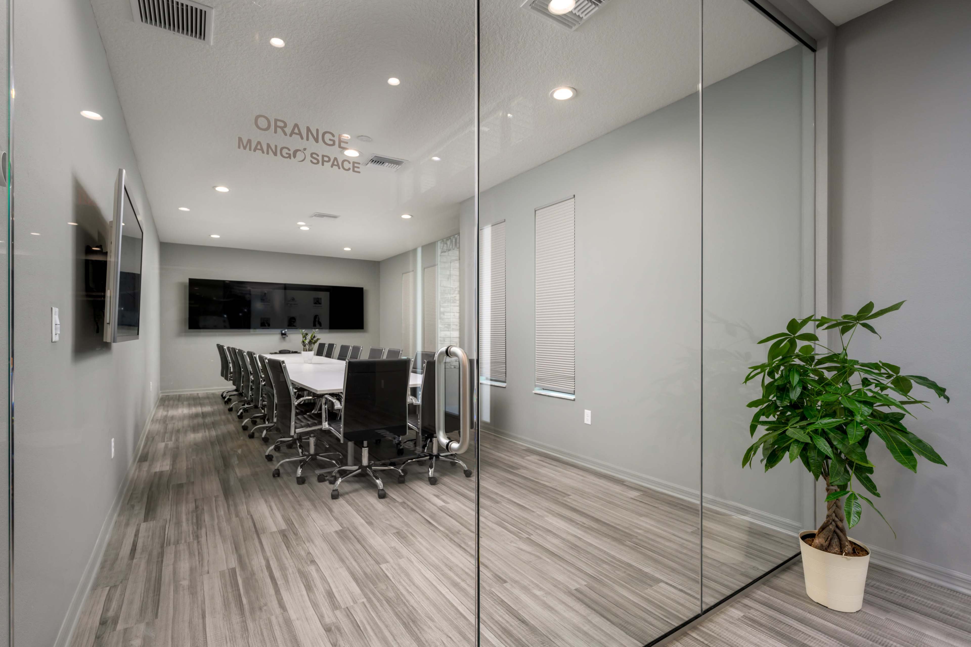 35 Person High Tech Conference Room Image in Worthington Gardens, Lutz, FL