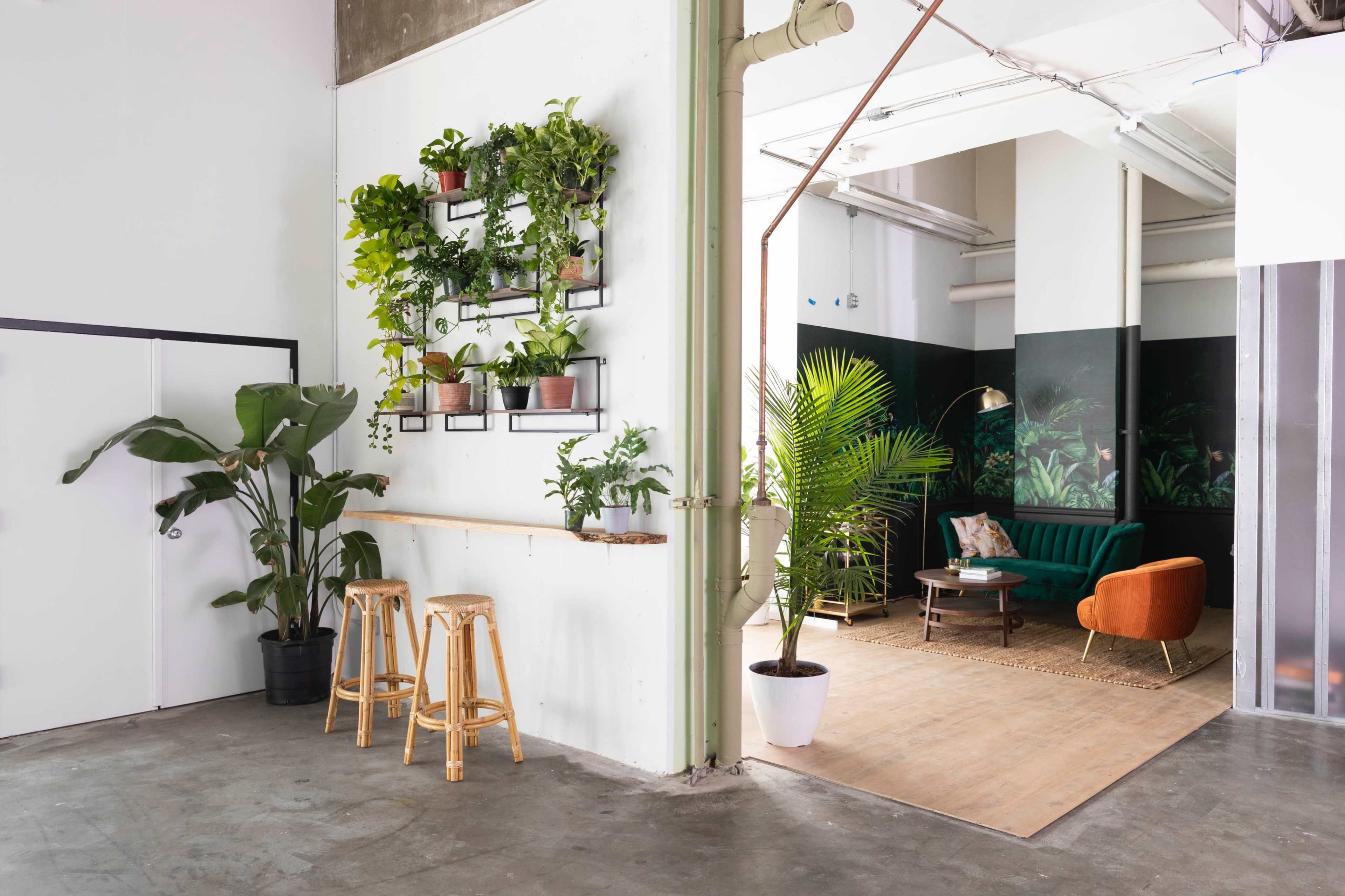 The image shows a modern indoor space featuring a greenery wall, seating area with a green sofa and orange chair, and a wooden bar with stools.