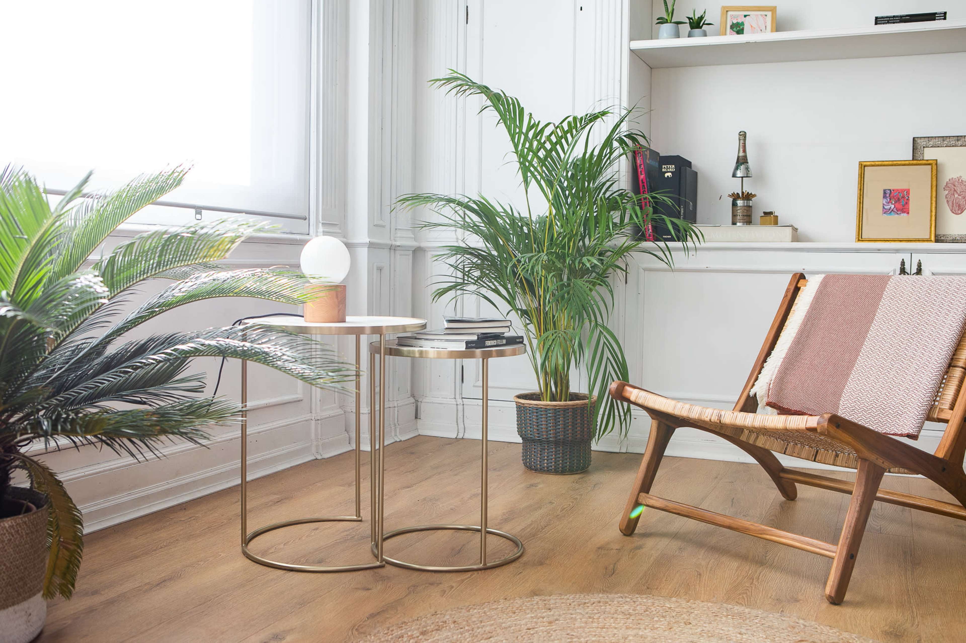 A modern living space features a wooden chair, a round side table with books and a lamp, and potted plants near a window.