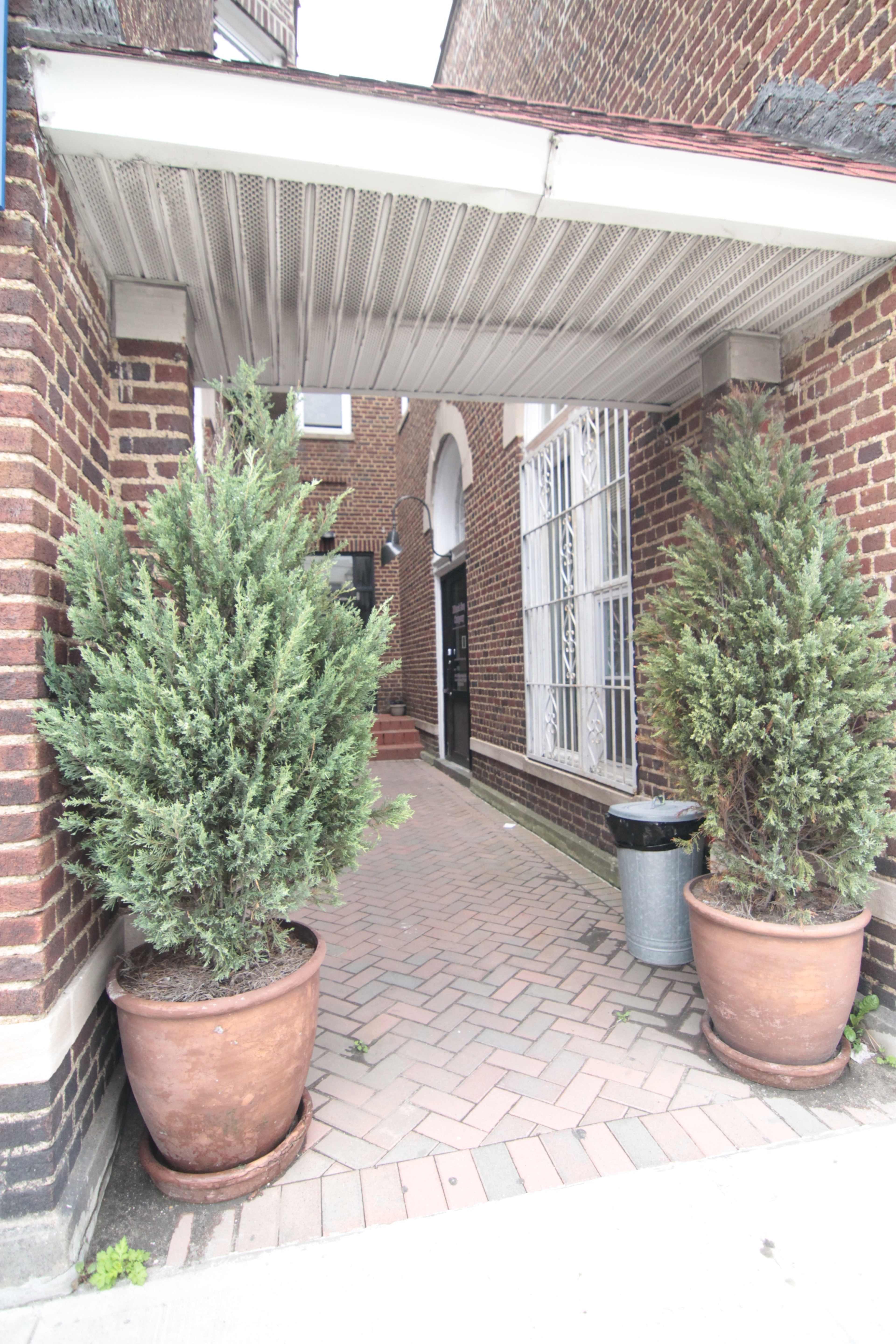 A brick pathway leading through an archway, flanked by two large potted evergreen plants, with a trash bin to the right.