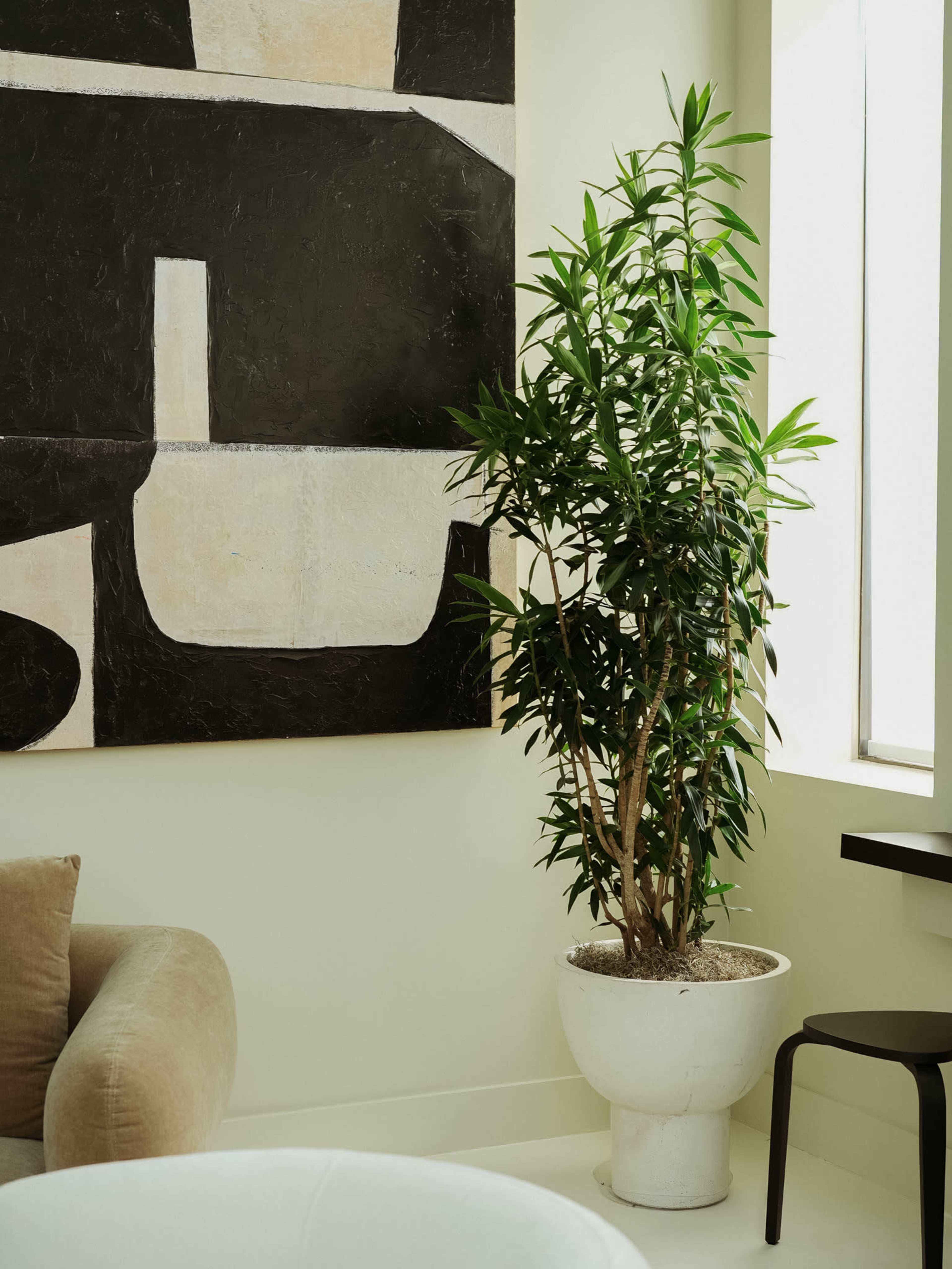 A potted plant stands beside a large abstract painting in a softly lit room with cream-colored walls.