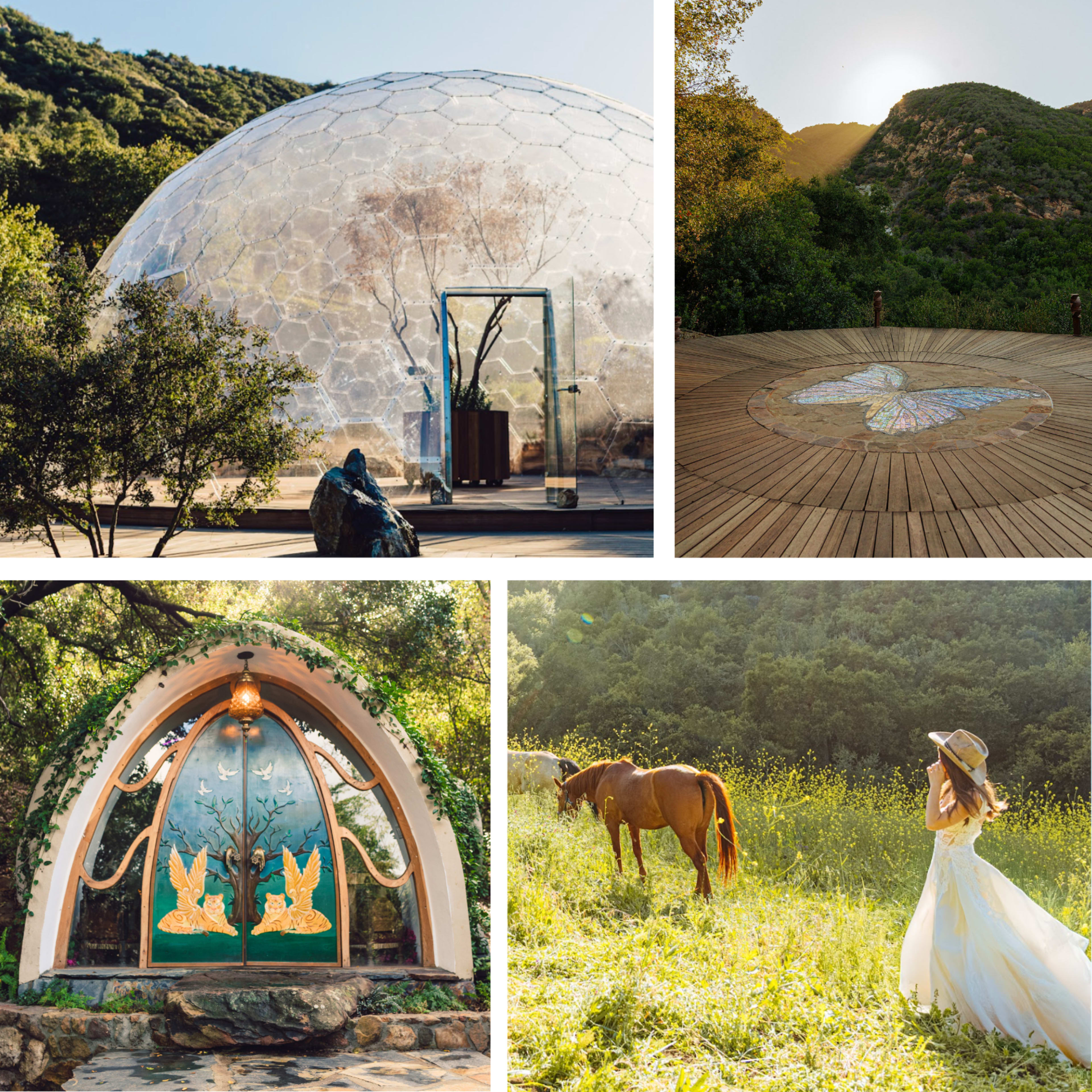 The image features a collage of four scenes, including a geodesic dome structure, a rocky path leading to a butterfly mosaic on wooden decking, an ornate archway entrance with bird motifs, and a woman in a white dress walking beside a horse in a grassy field.