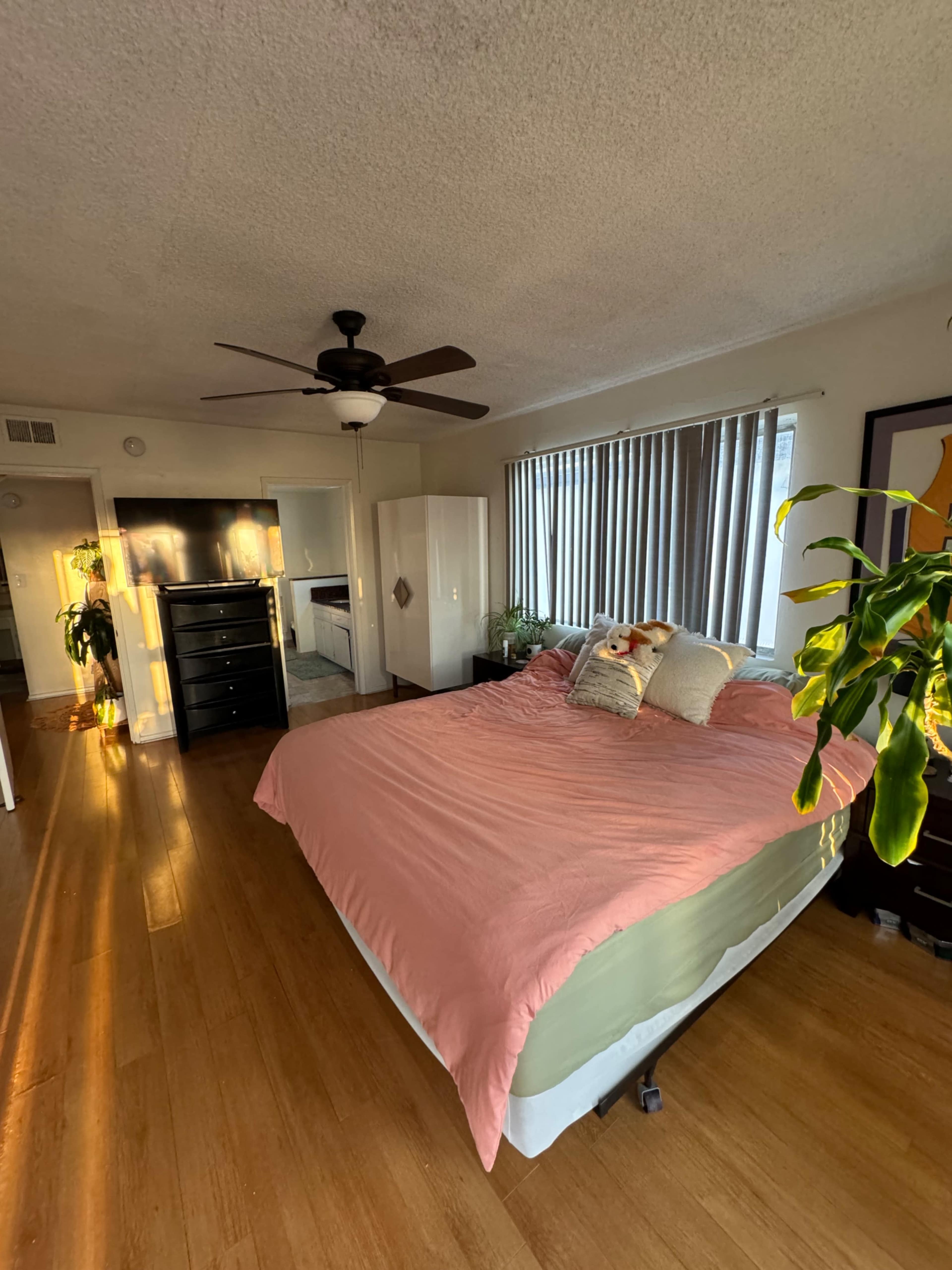 Beverly Hills Penthouse with Entire Rooftop and Unlimited Natural Light Image in Beverly Hills, Beverly Hills, CA