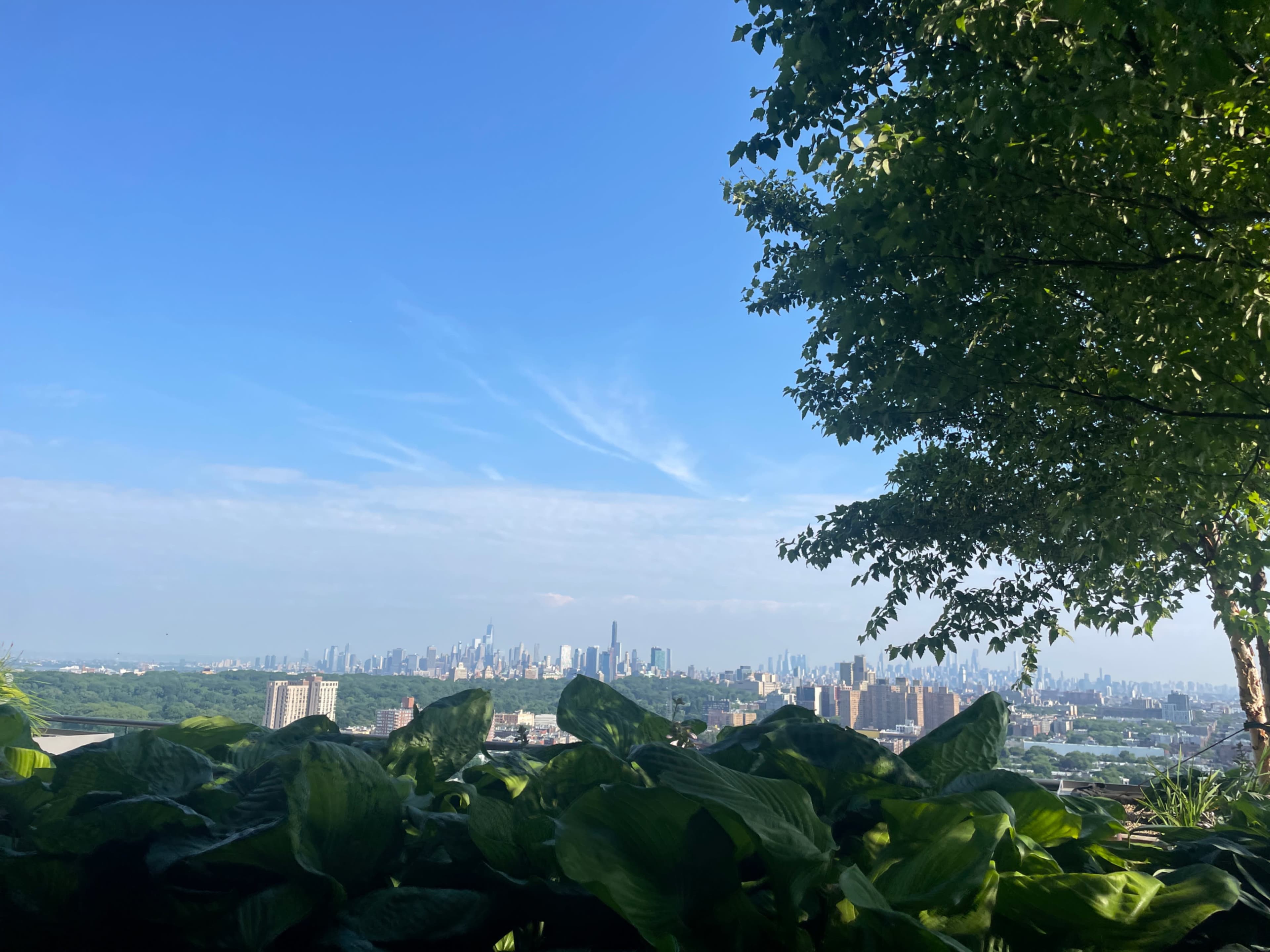 A skyline view of a city with tall buildings, framed by lush greenery in the foreground.