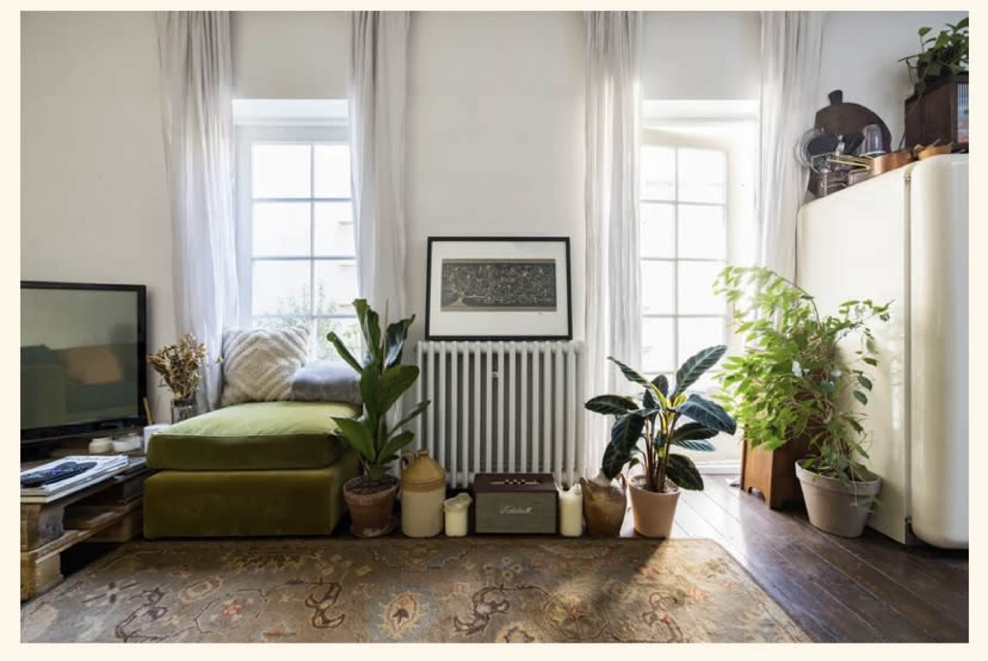 A cozy living space features a green armchair, a radiator, two plants in pots, and a framed artwork near large windows.