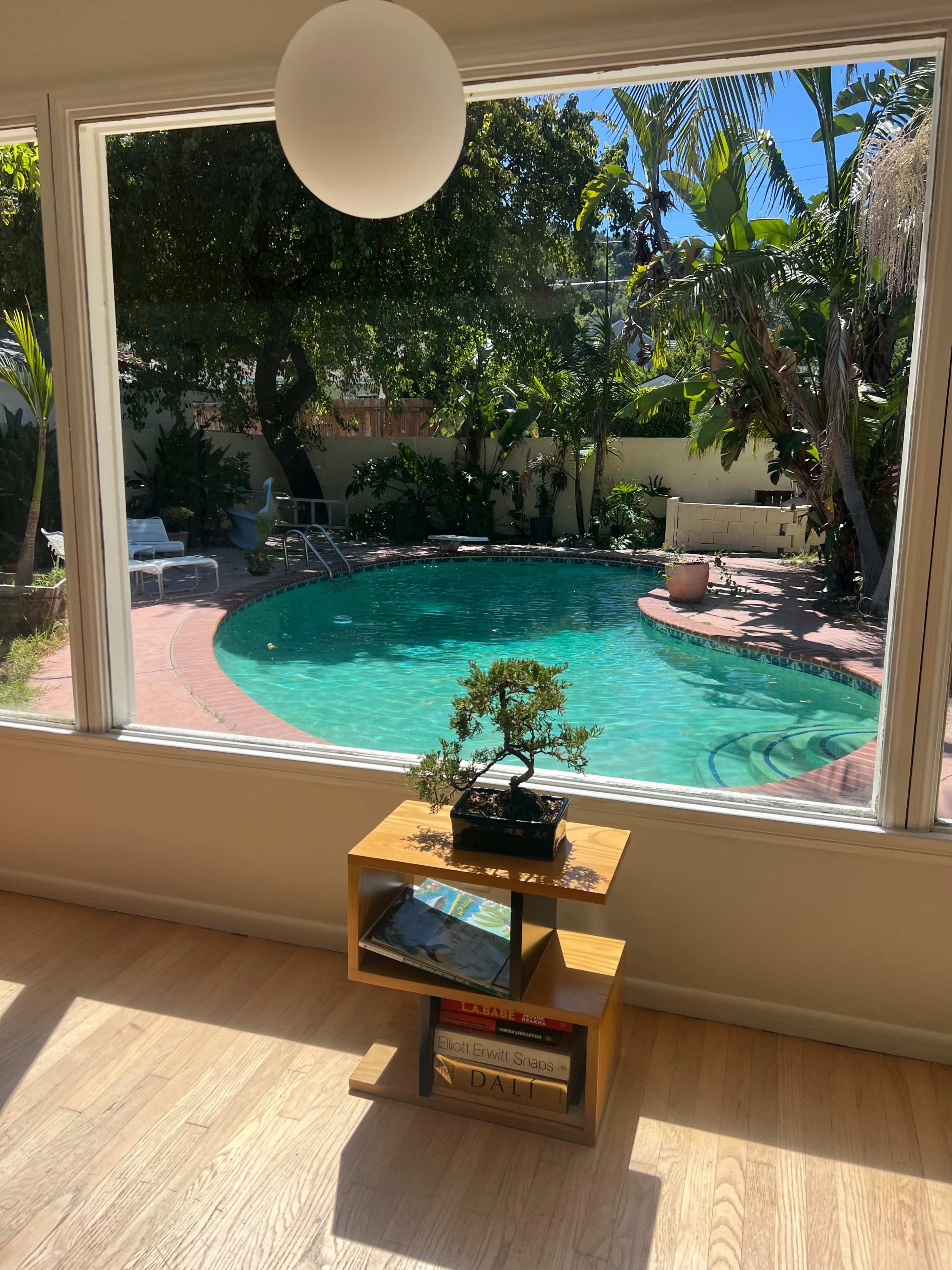 A brightly lit room with a view of a swimming pool surrounded by tropical plants.