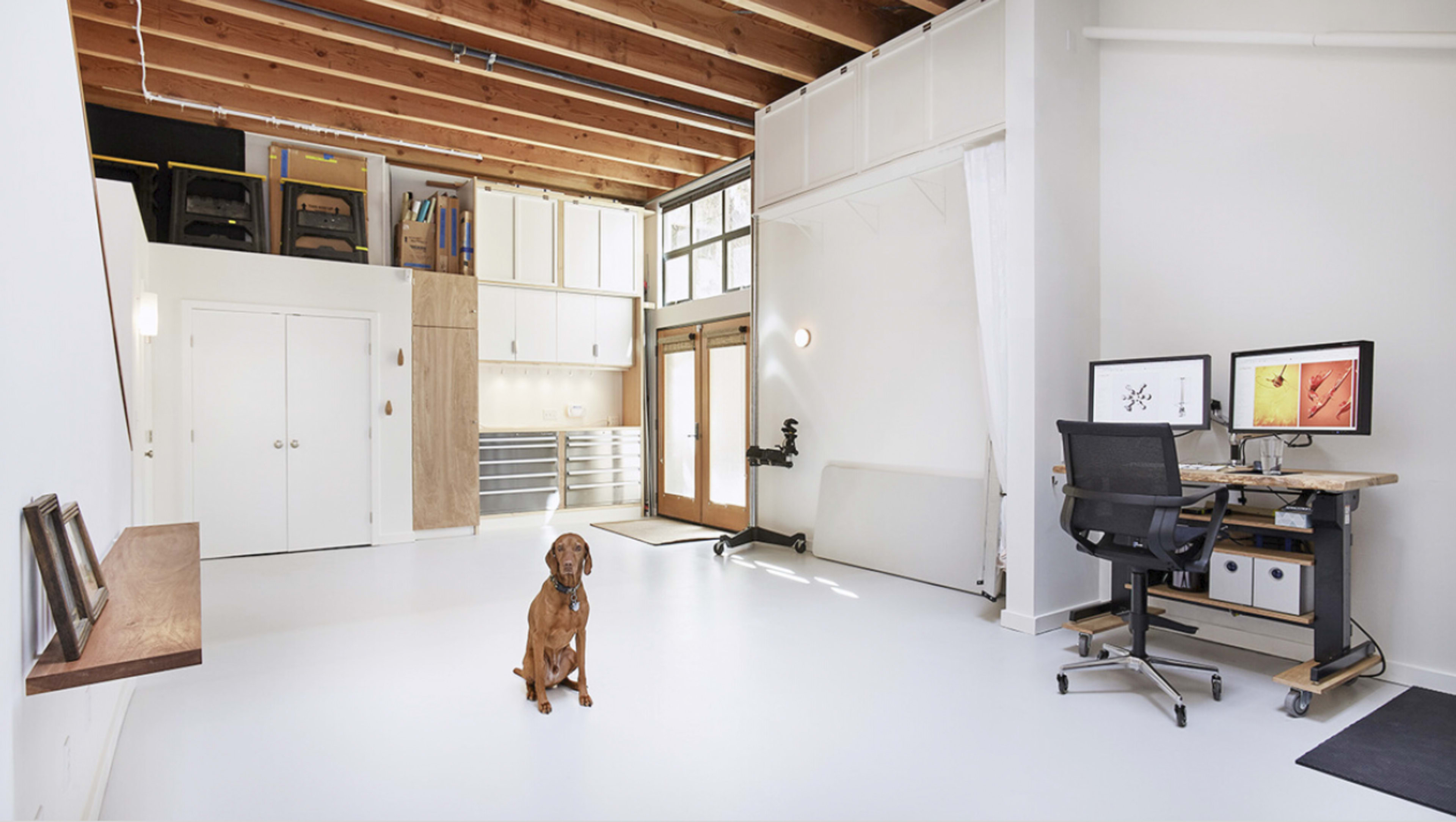 A spacious, modern workspace with a dog sitting on a white floor, surrounded by large windows and wooden beams overhead.