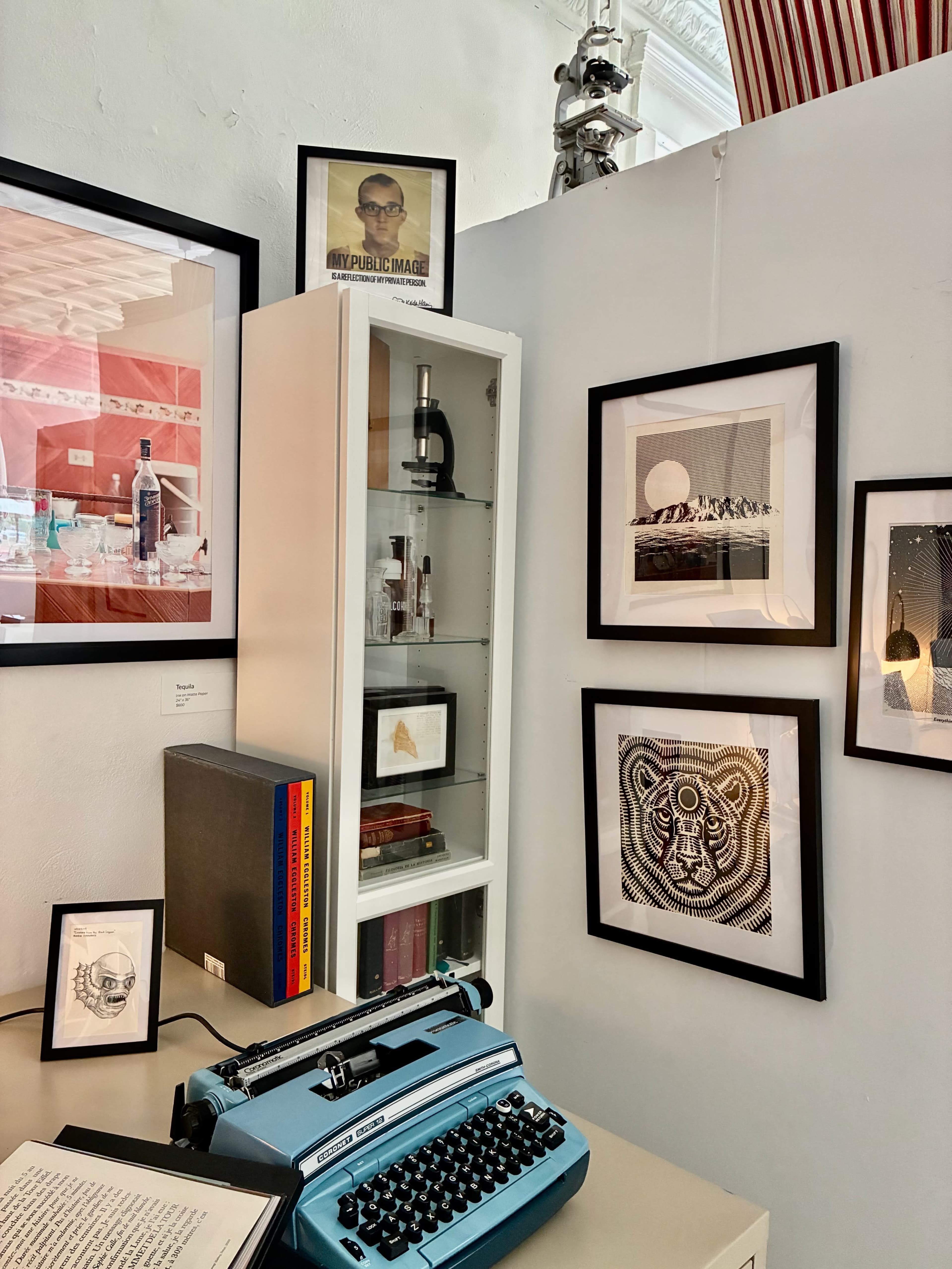 The image shows a corner of a room with a vintage blue typewriter, framed artwork on the walls, a microscope inside a glass cabinet, and a colorful book spines on a shelf.