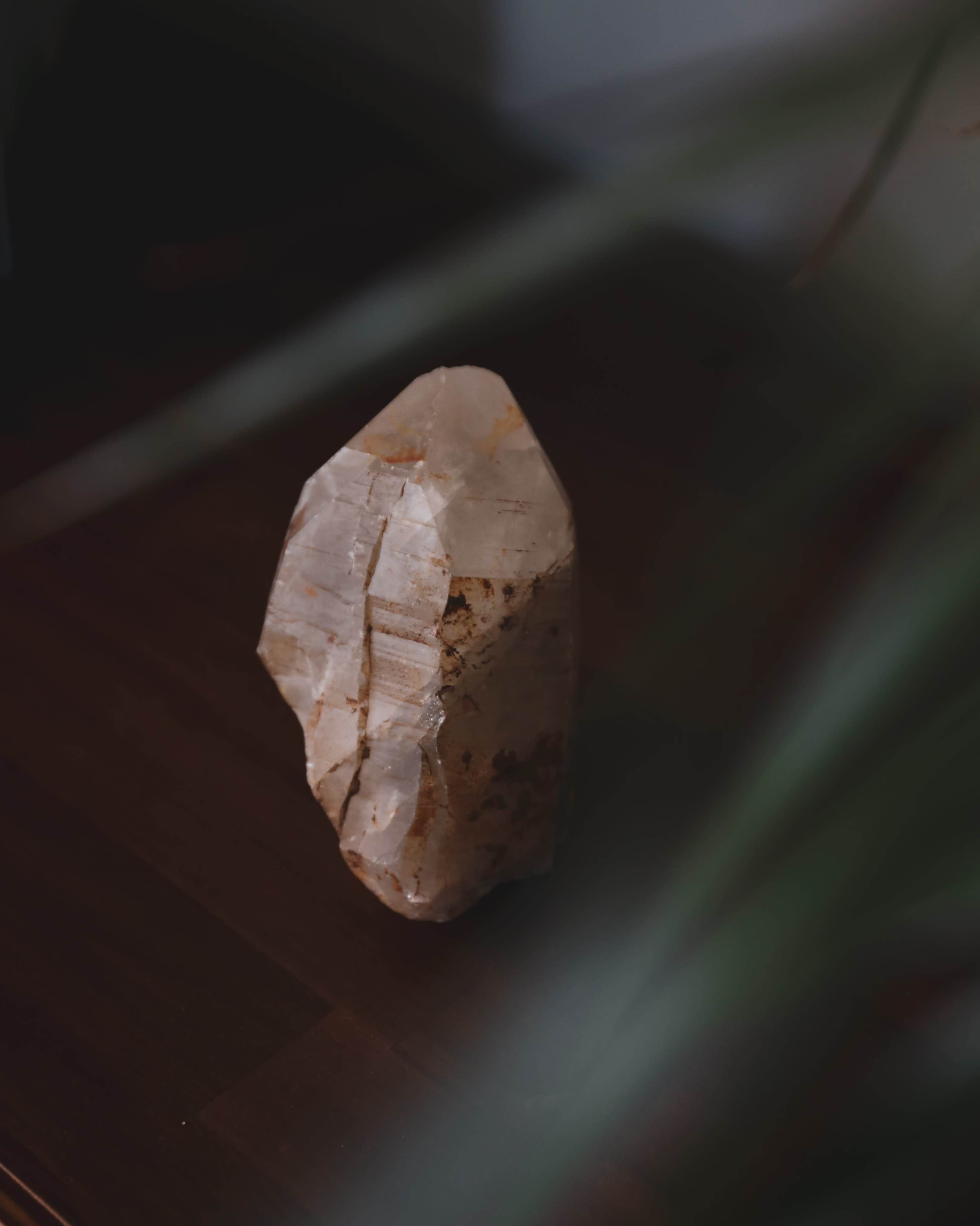 A clear crystal sits on a wooden surface, partially obscured by green leaves in the foreground.