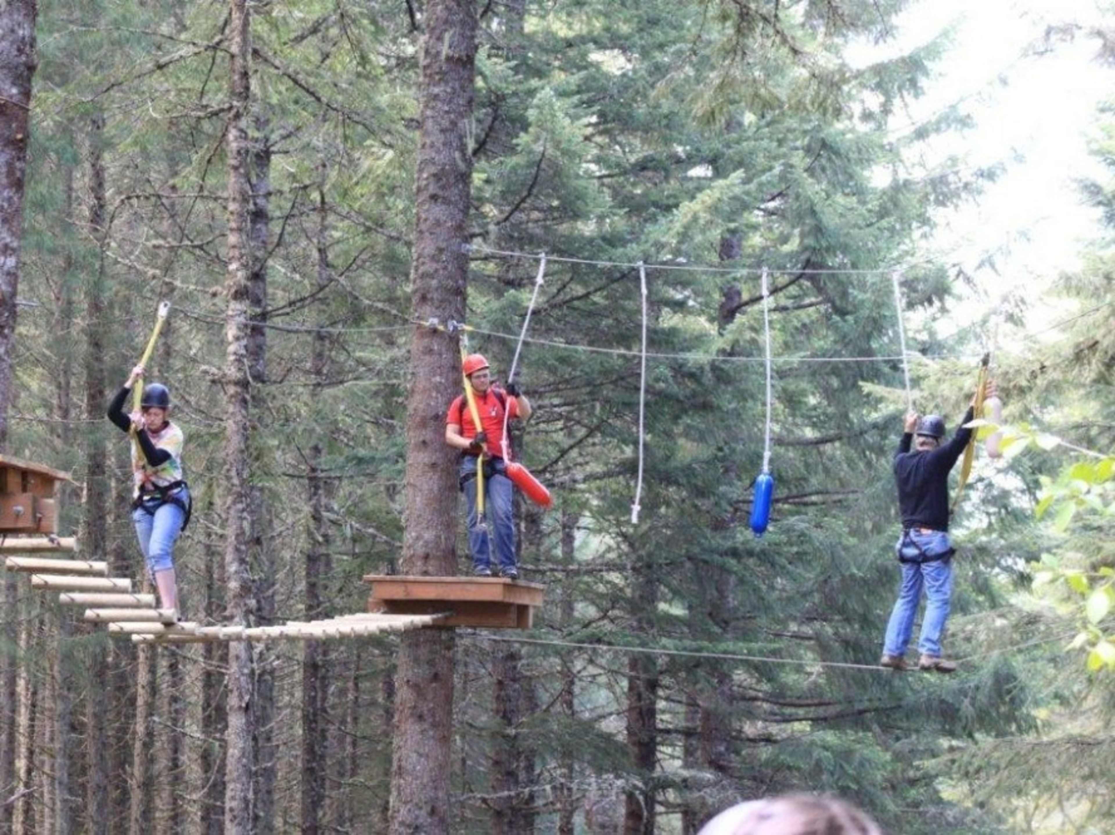 Aerial Challenge Course 