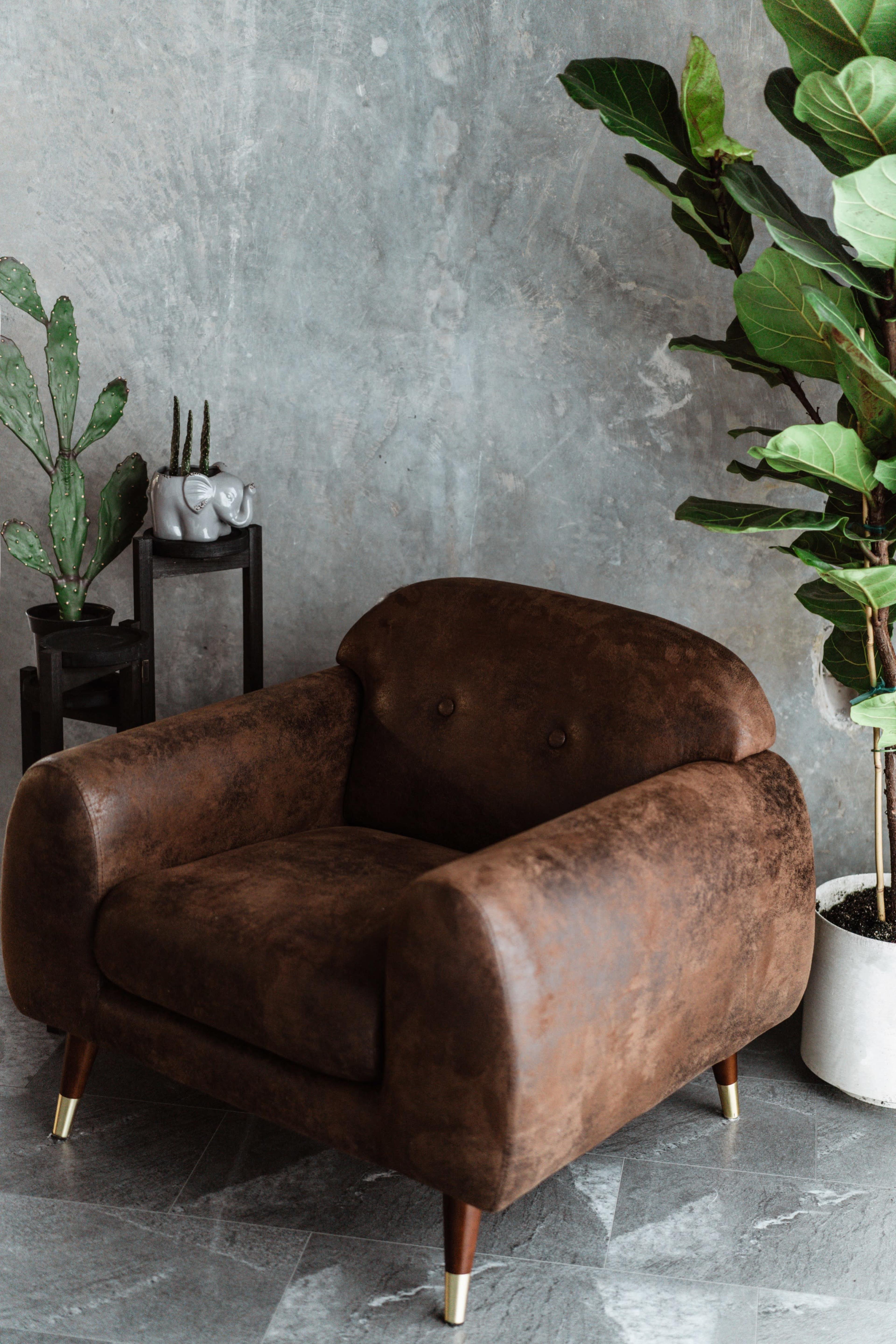 A brown upholstered armchair with rounded edges sits beside a potted plant and a small decorative shelf with items.