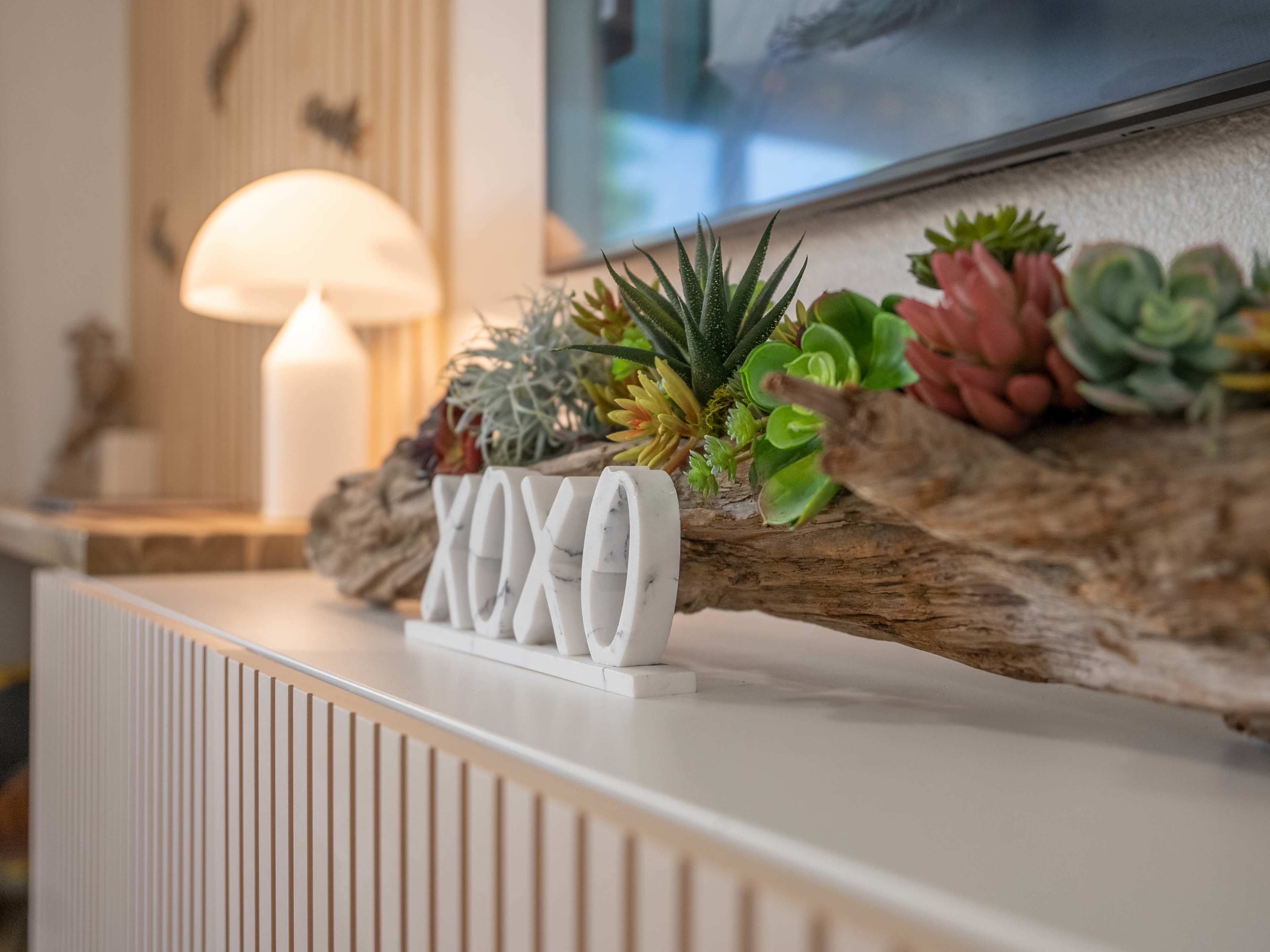 A wooden tabletop displays decorative succulents and a marble "XOXO" sign, accompanied by a soft lamp in the background.