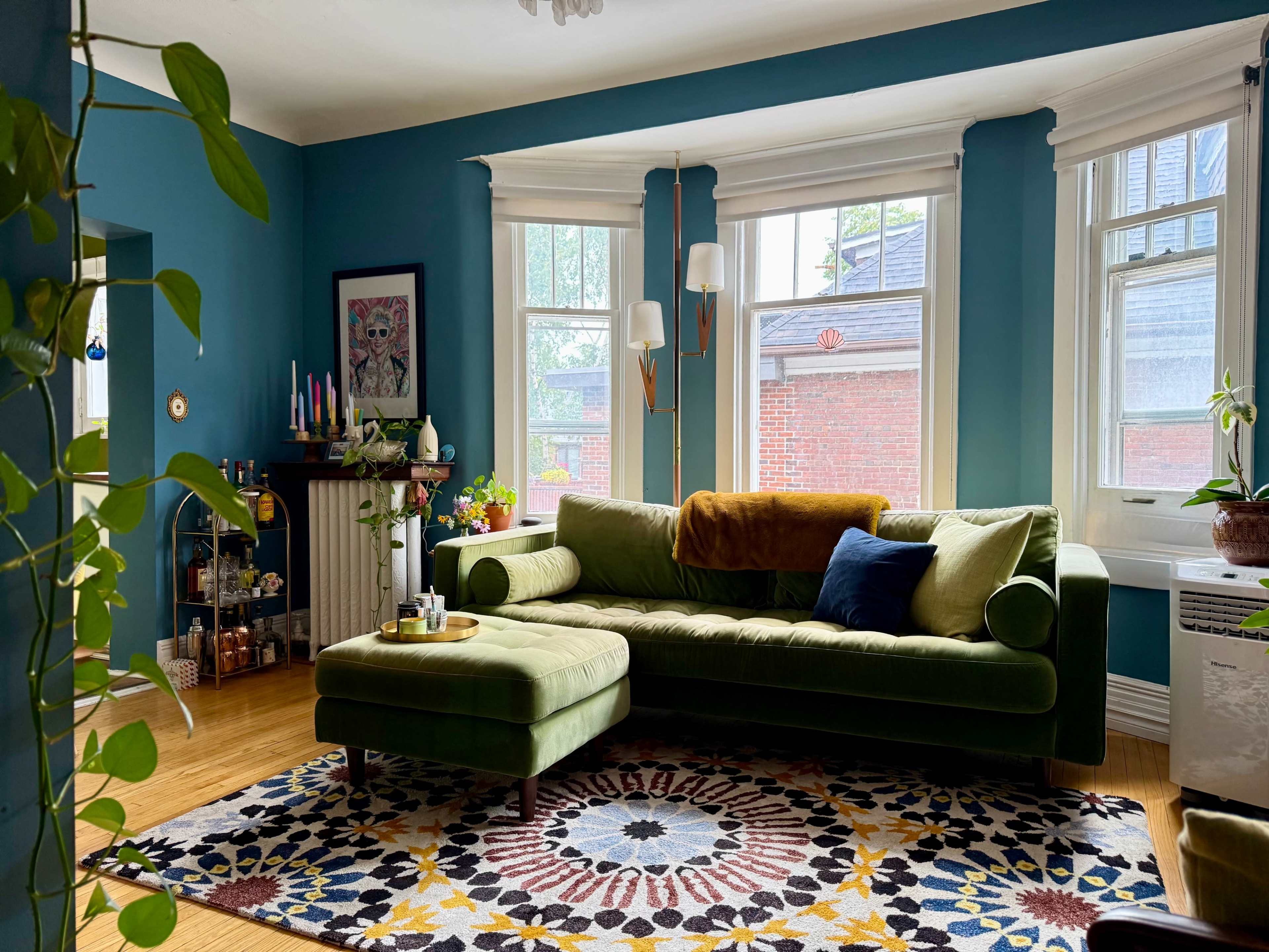 Bohemian Vibe Apartment Image in Dufferin Grove, Toronto, ON