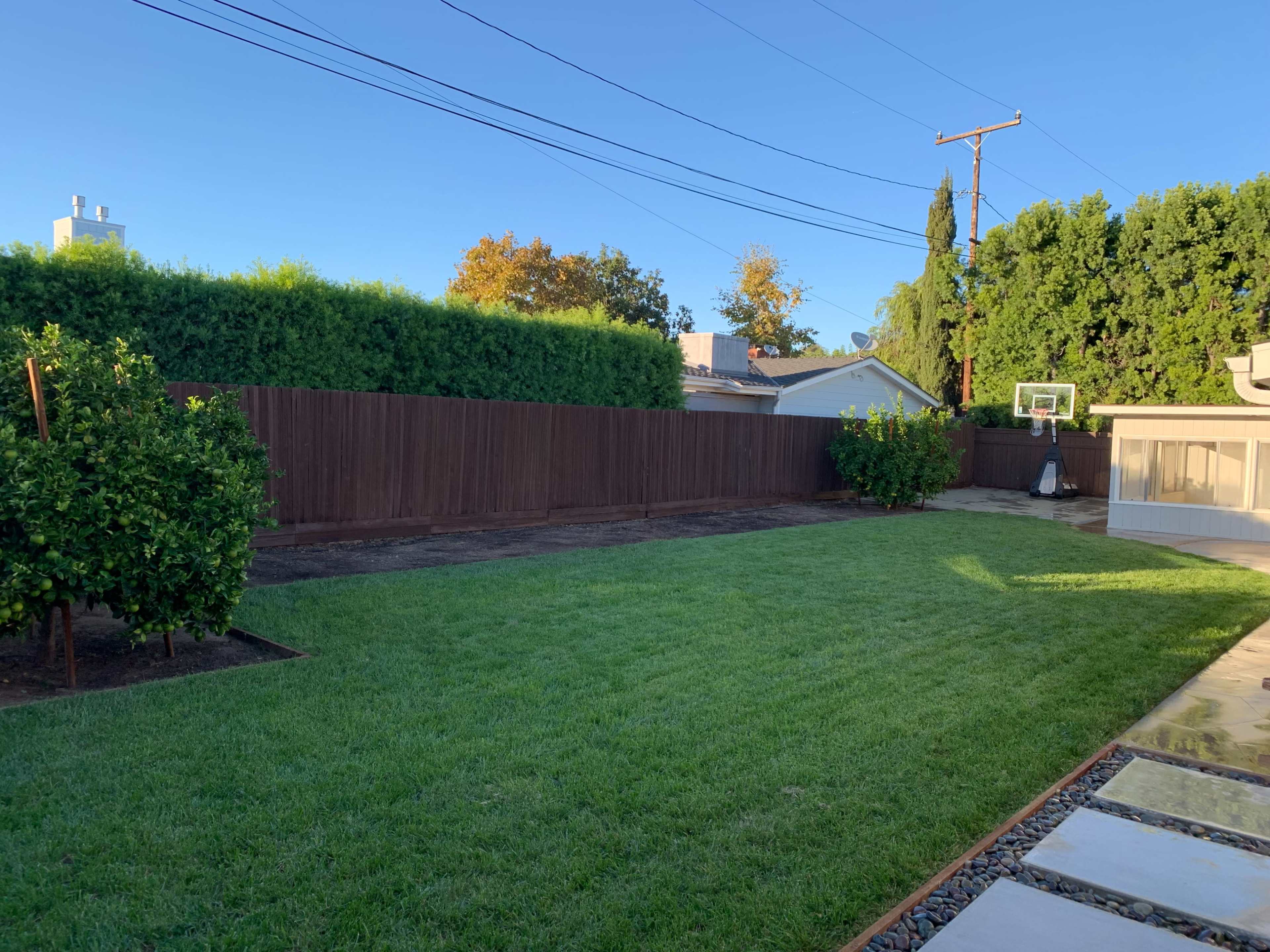 A well-manicured backyard with a lawn, surrounded by a wooden fence and shrubs, with a basketball hoop visible in the distance.