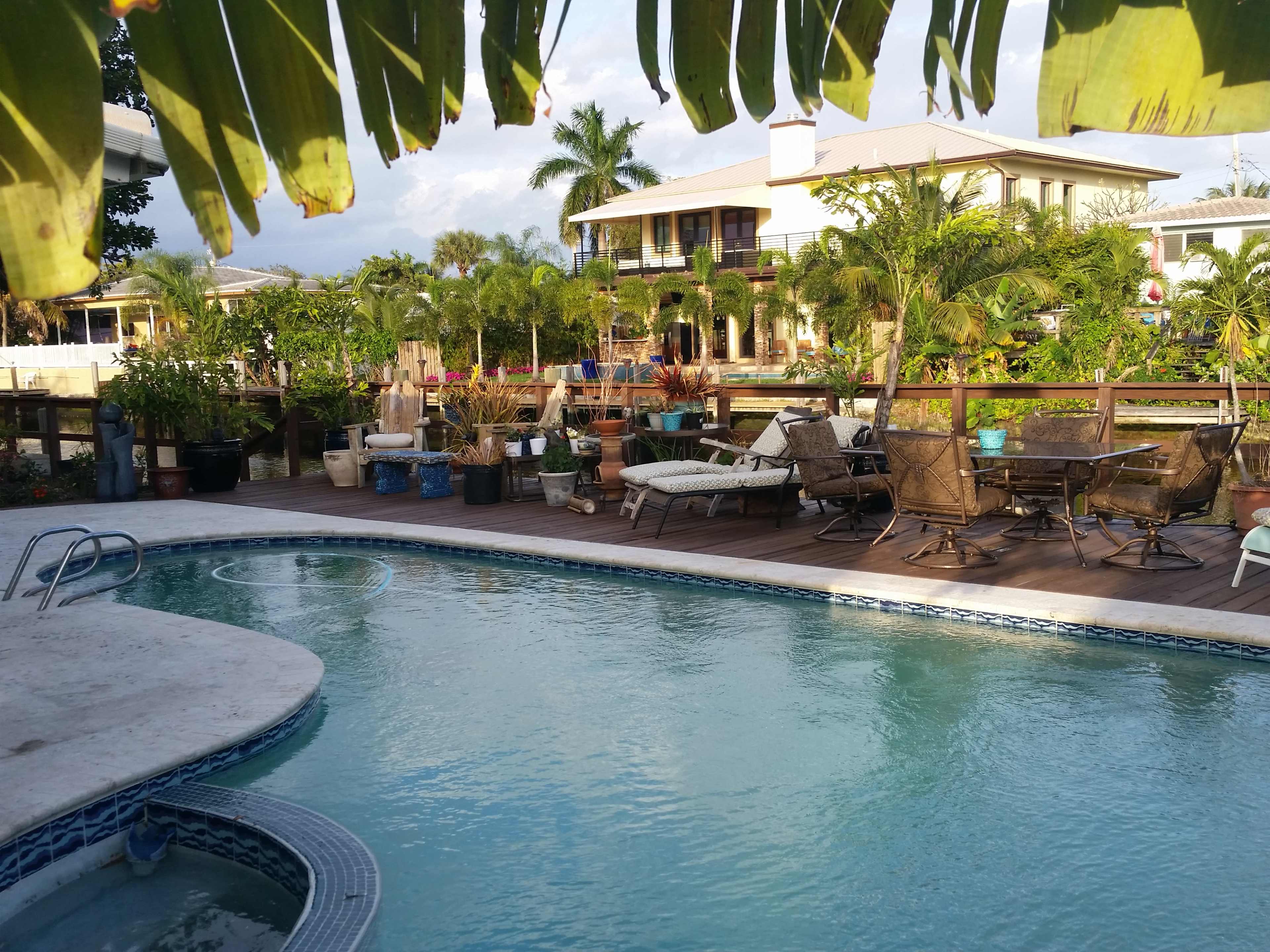 The image shows a swimming pool surrounded by several lounge chairs and tropical plants in a residential backyard setting.
