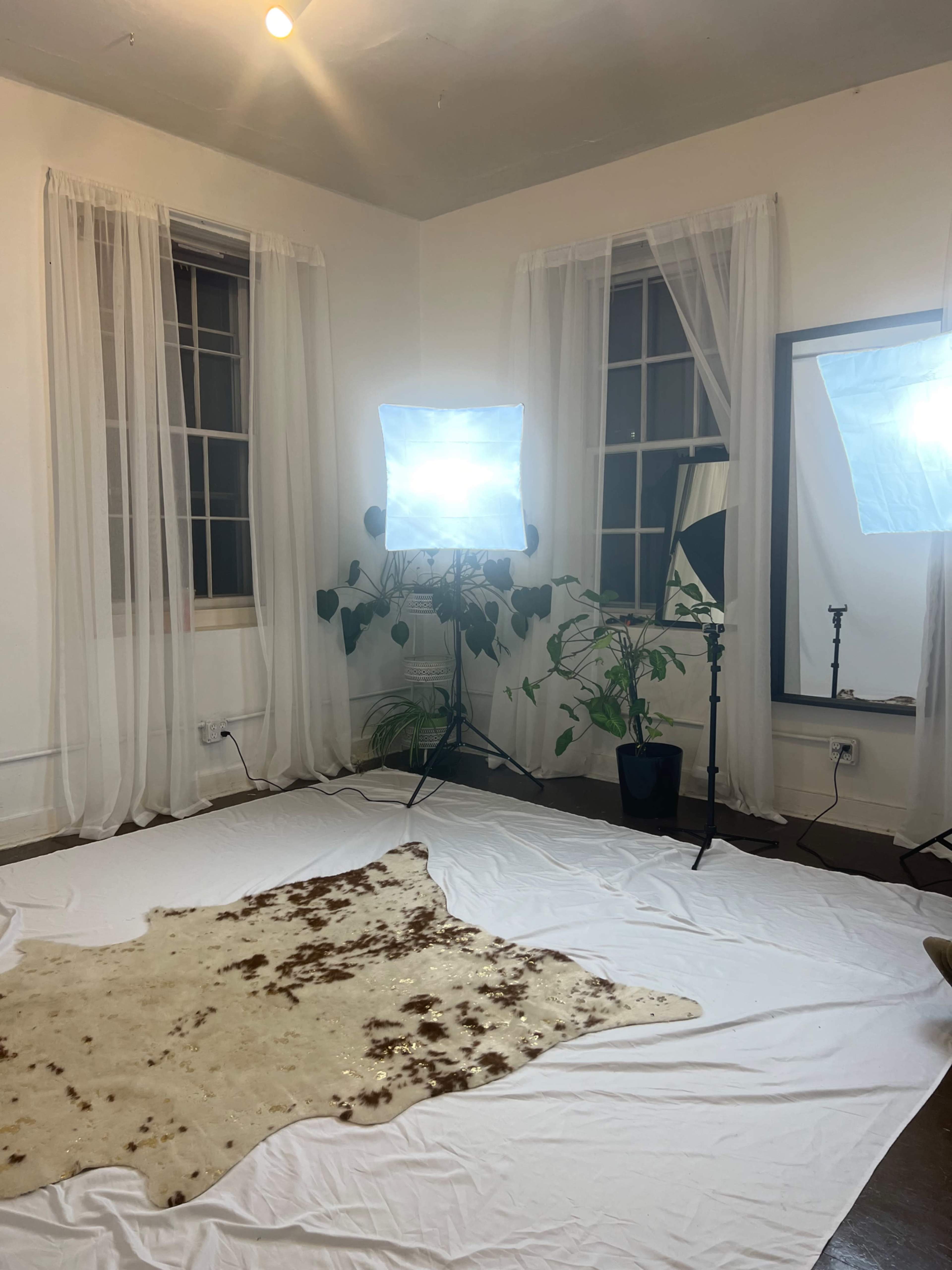 A minimalist room with sheer curtains, a large mirror, and two softbox lights illuminating a white backdrop and a cowhide rug on the floor.