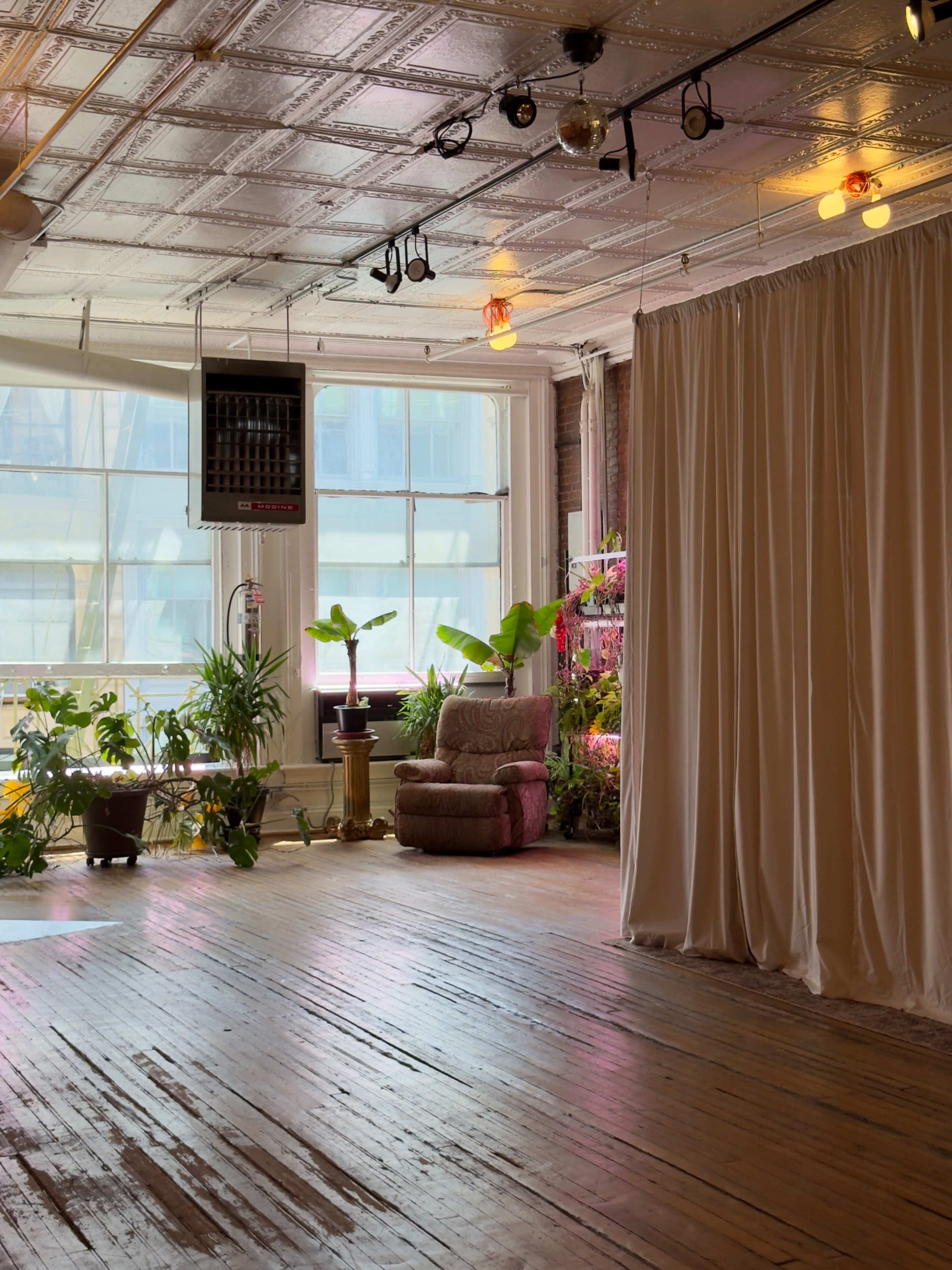 The image shows a spacious room with large windows, plants scattered throughout, and a beige curtain separating a sitting area with a plush chair.