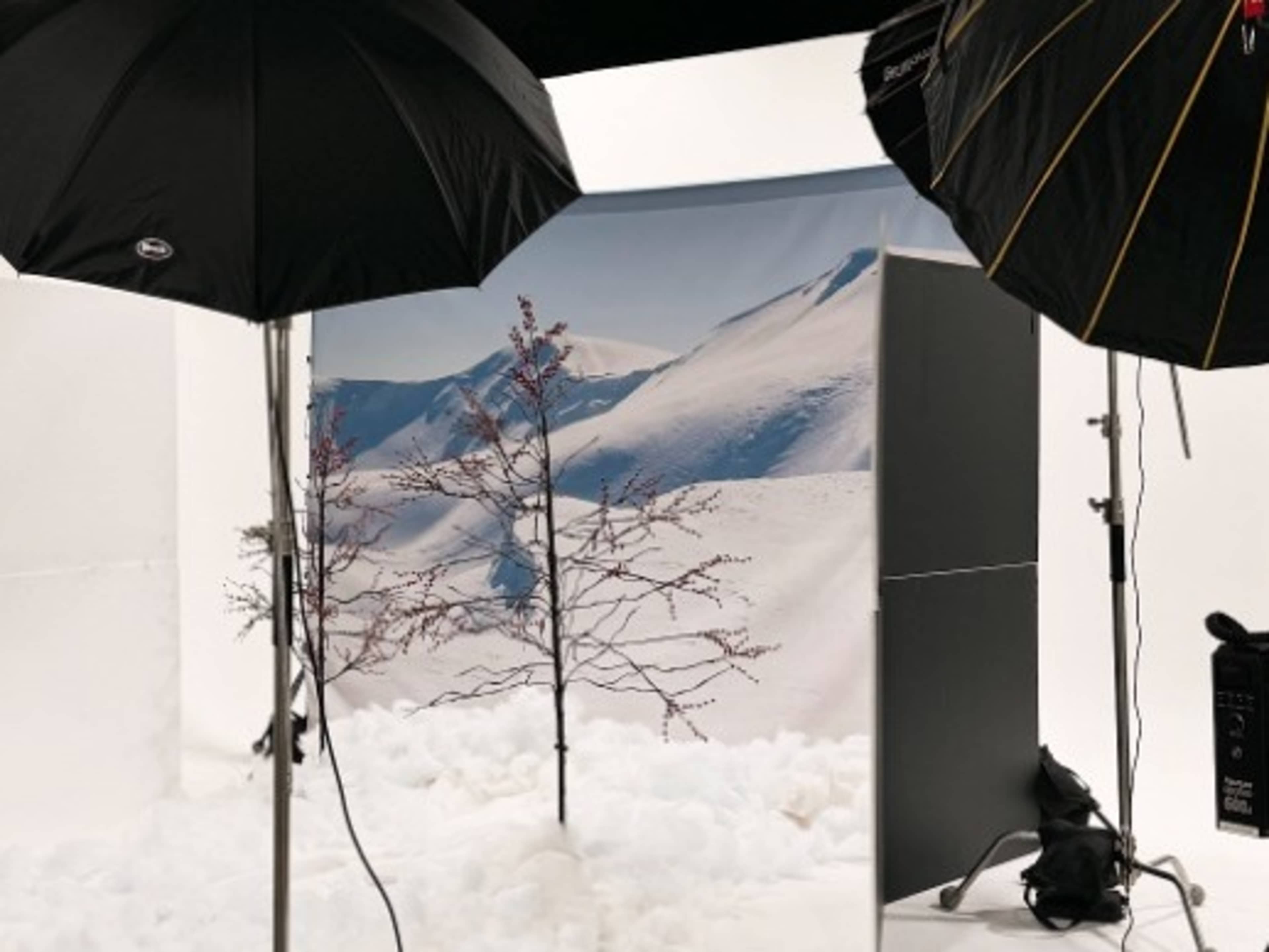 Winter Mountains Backdrop