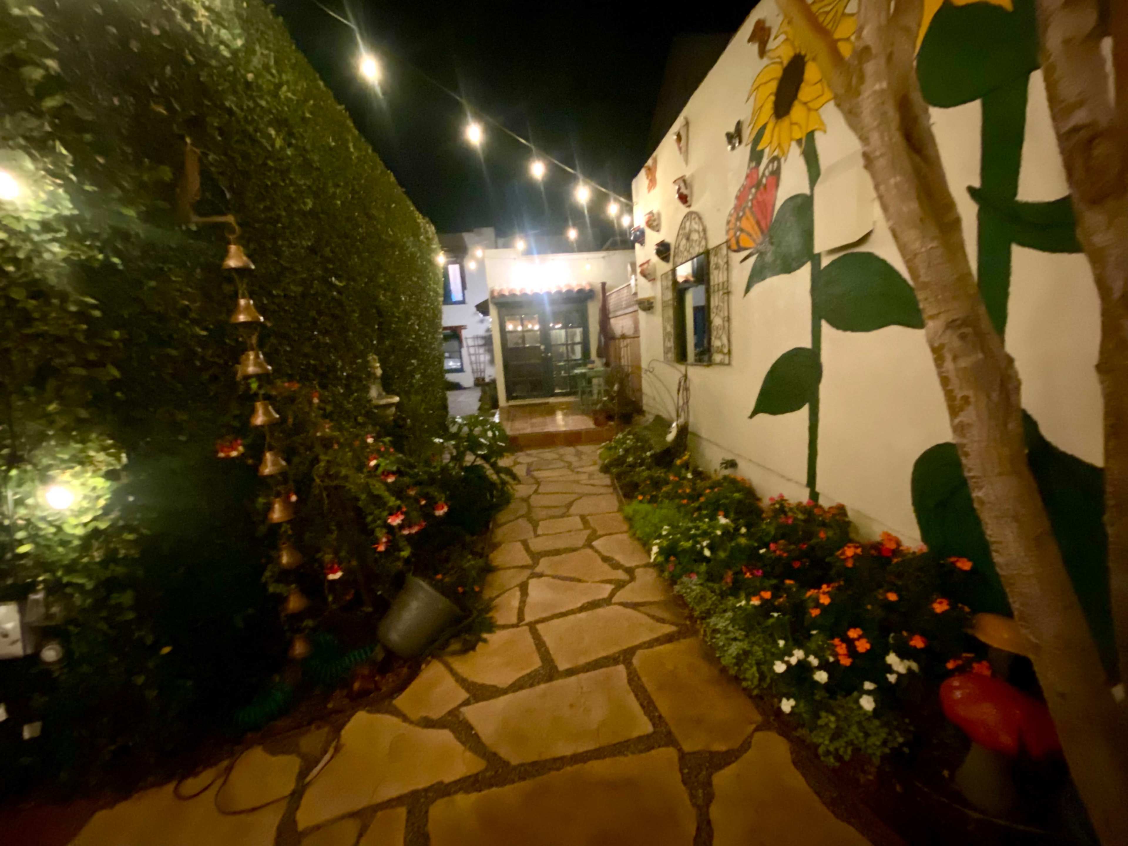 A stone pathway illuminated by string lights, surrounded by decorative plants and a mural of sunflowers on a wall.