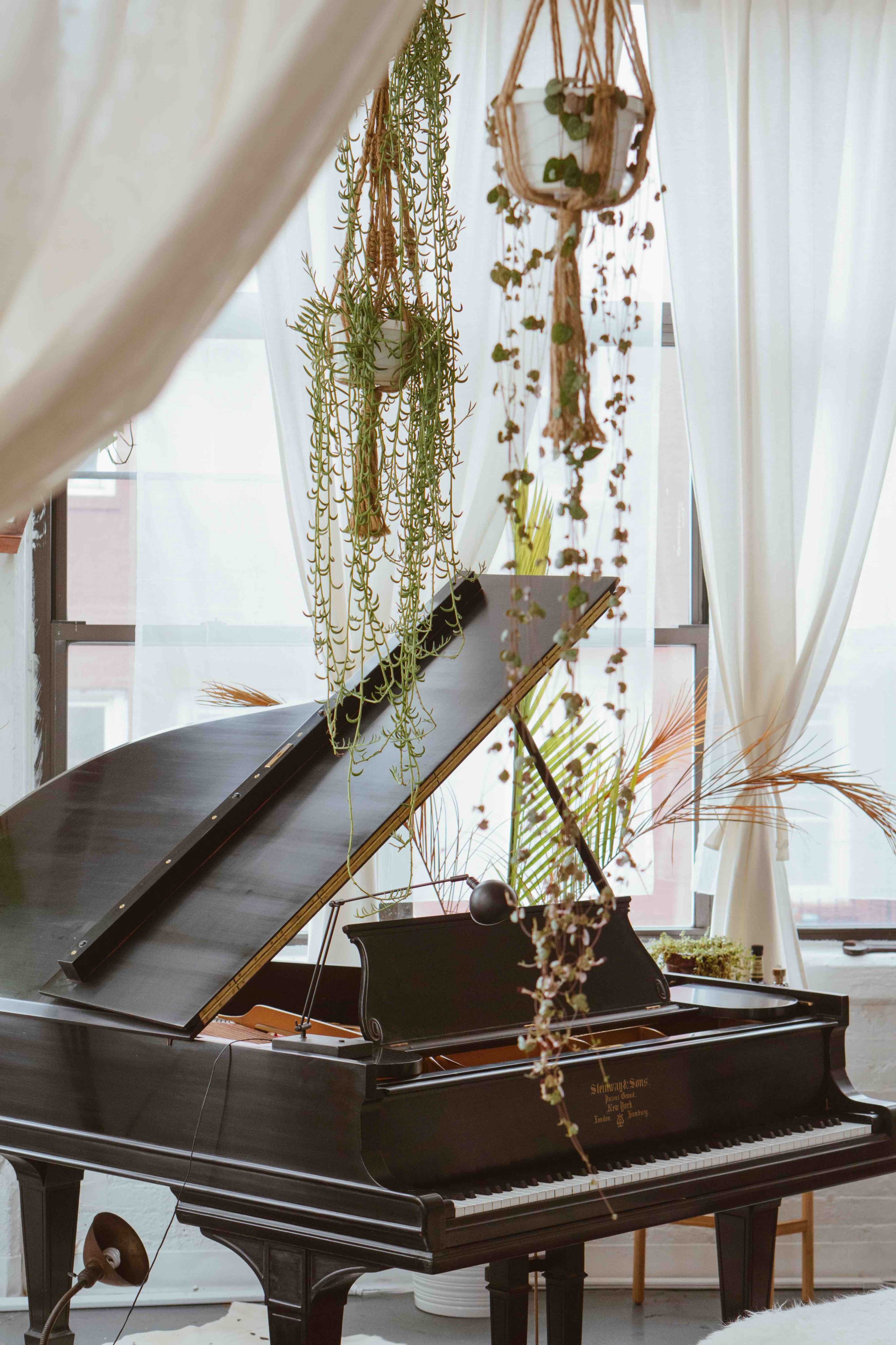 A grand piano sits elegantly in a brightly lit room, surrounded by hanging plants and soft curtains.