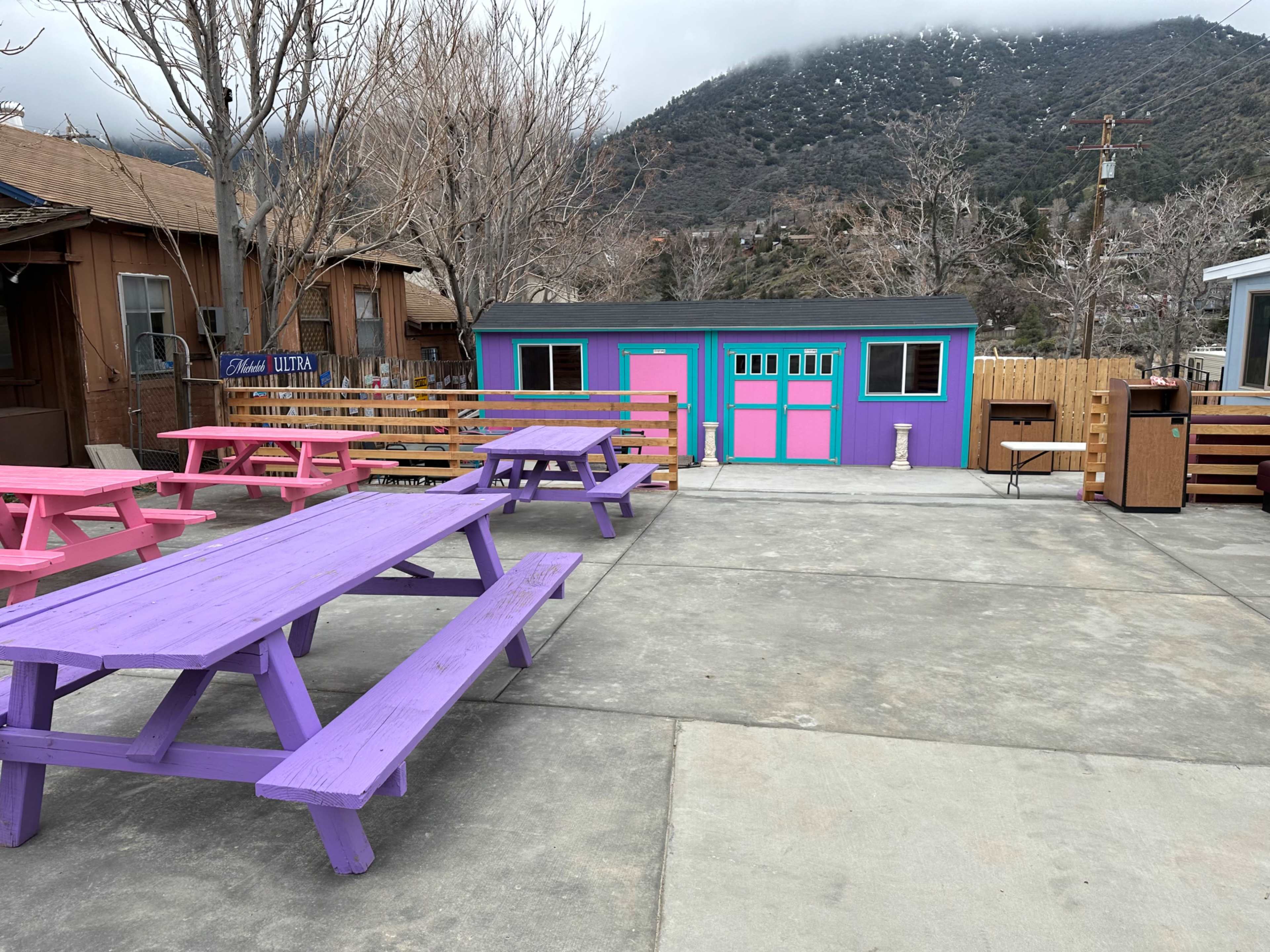 A concrete area with several purple and pink picnic tables in front of a colorful building, surrounded by bare trees and mountains in the background.