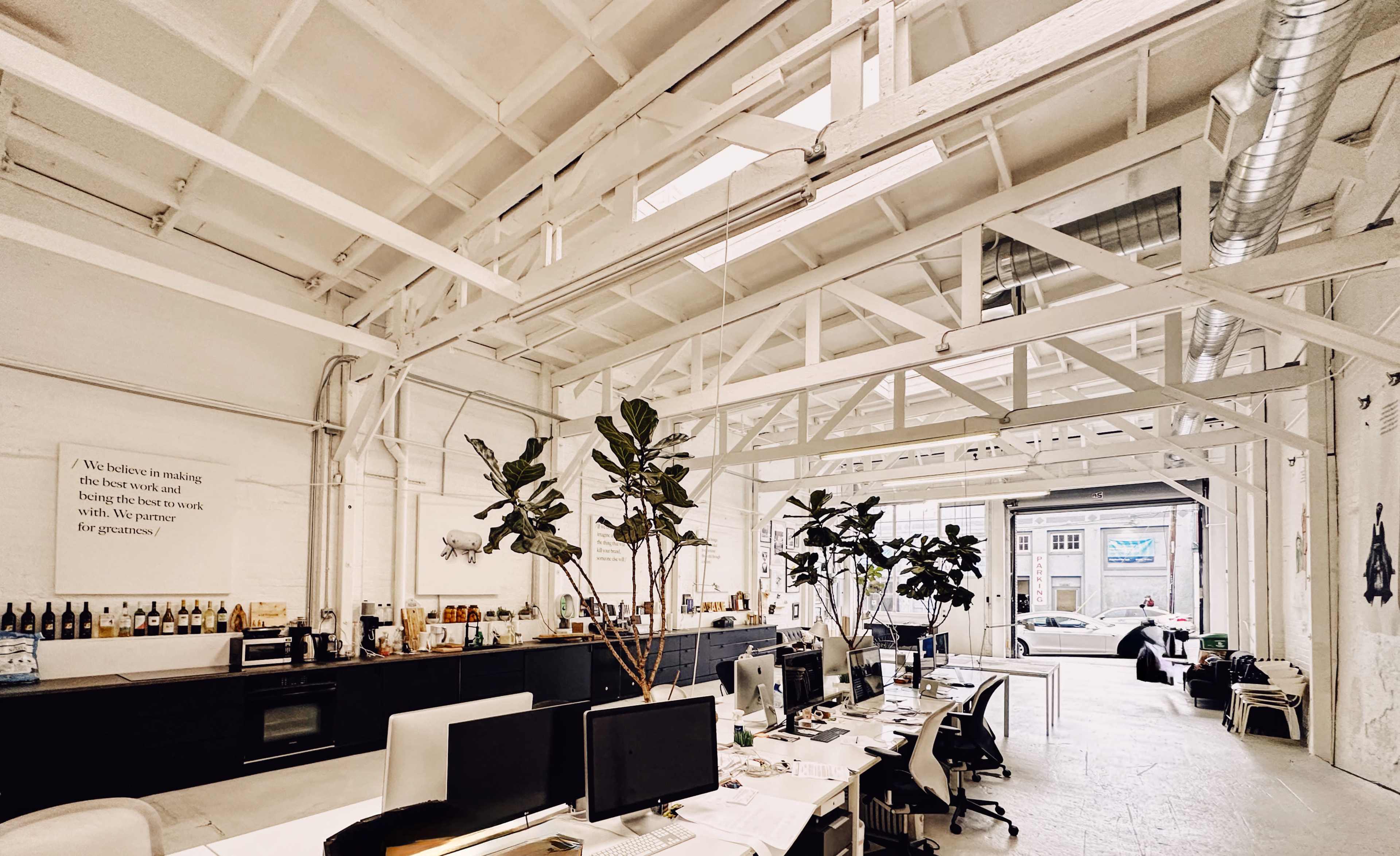 A spacious, modern office with white walls, high ceilings, and desks arranged with computers, surrounded by indoor plants and large windows.