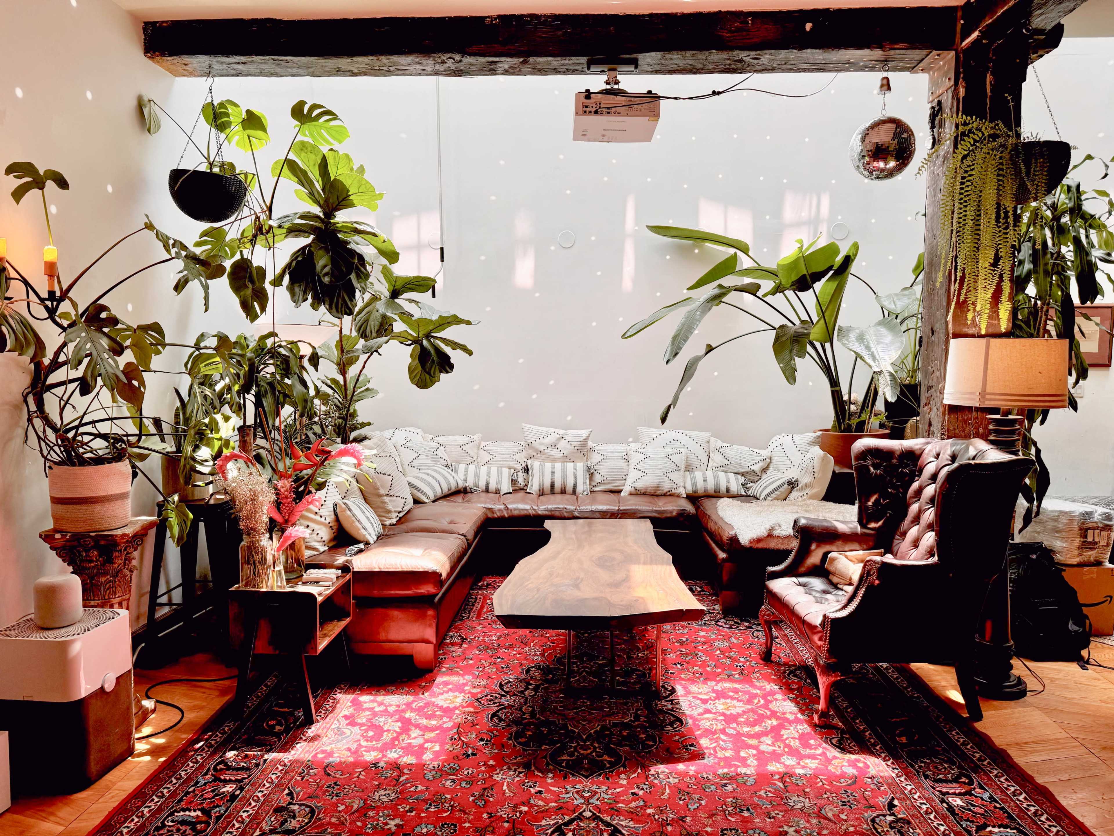 A cozy living room featuring a large sectional sofa, a wooden coffee table, and numerous indoor plants, all set against a backdrop of a patterned rug and wall-mounted projector.