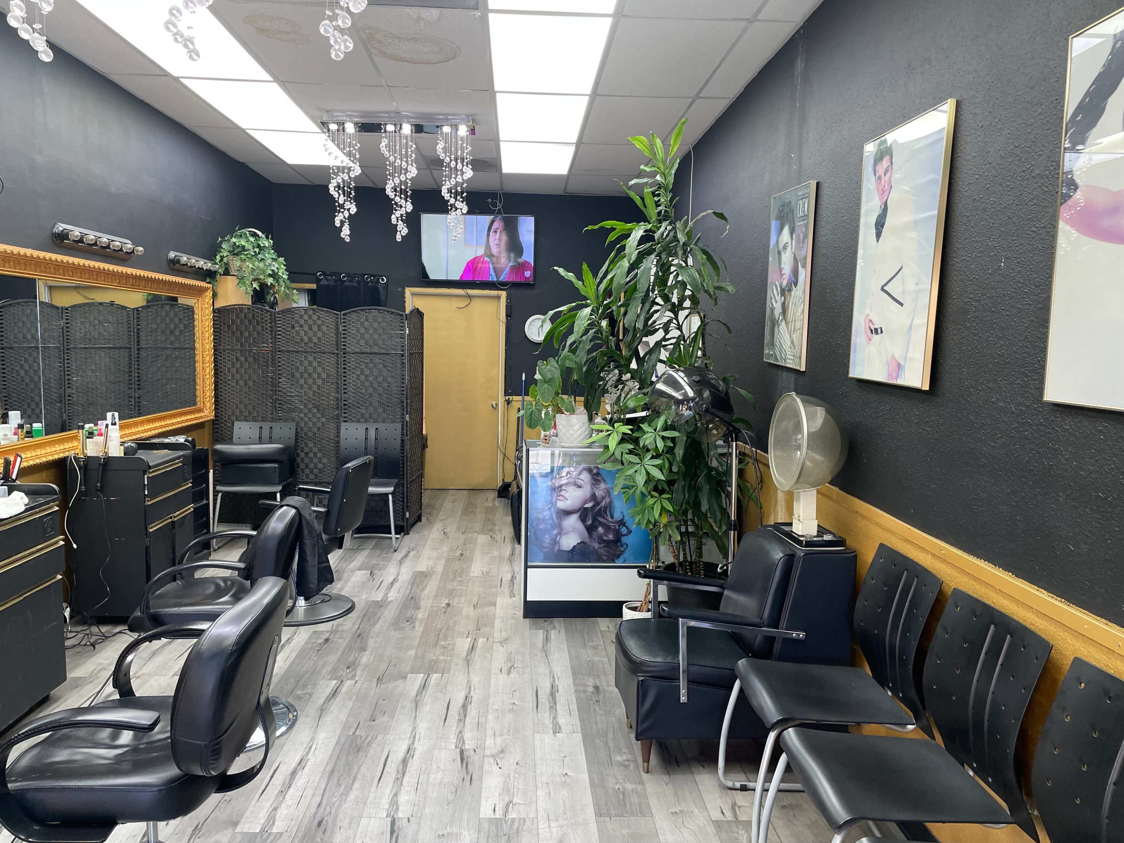 A professional hair salon with black walls, several styling chairs, decorative plants, and framed photos on the walls.