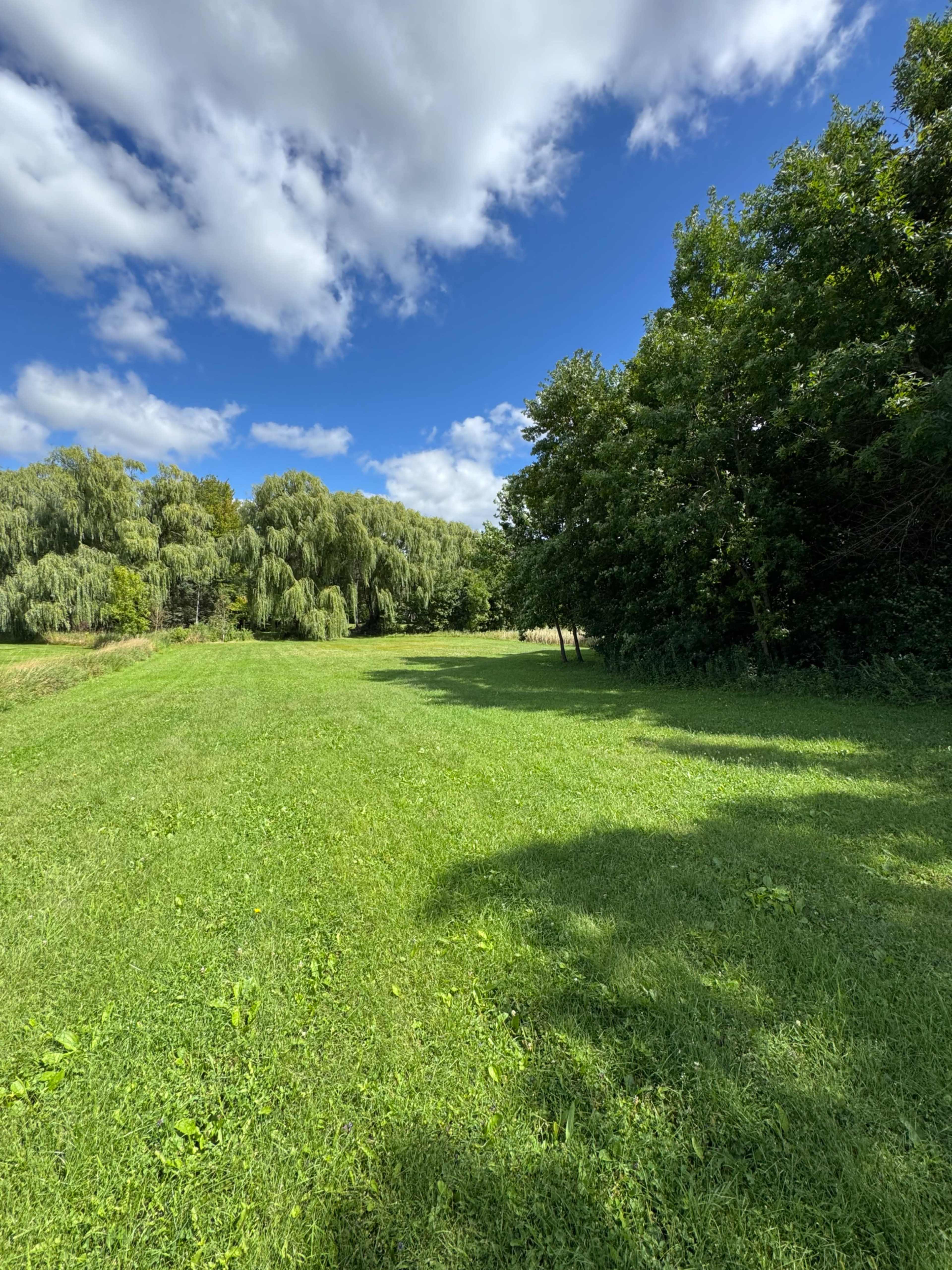 A grassy field with trees lining one side under a partly cloudy sky.