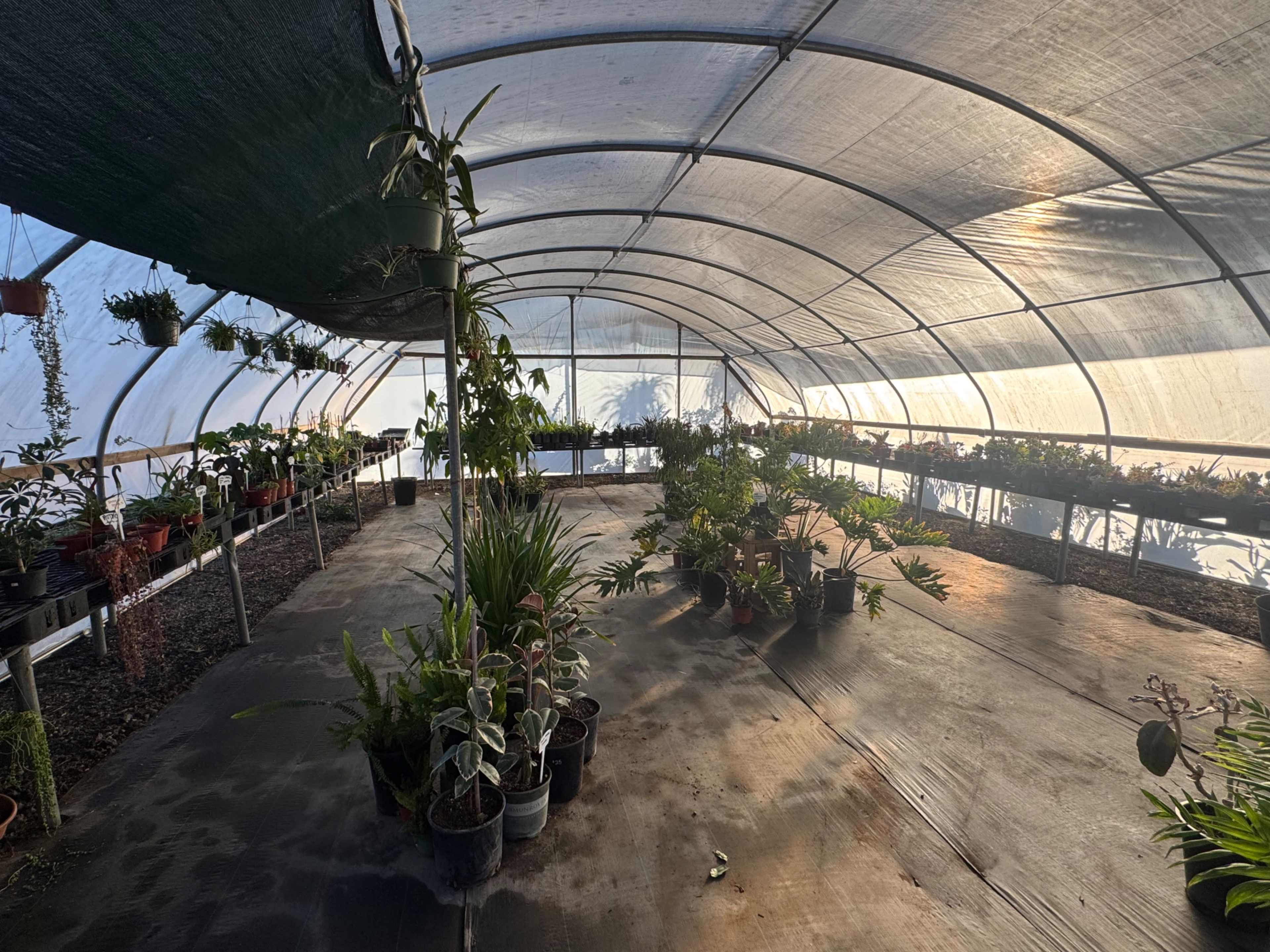 Rural feel - country/desert land with a plant nursery! Image in , Menifee, CA