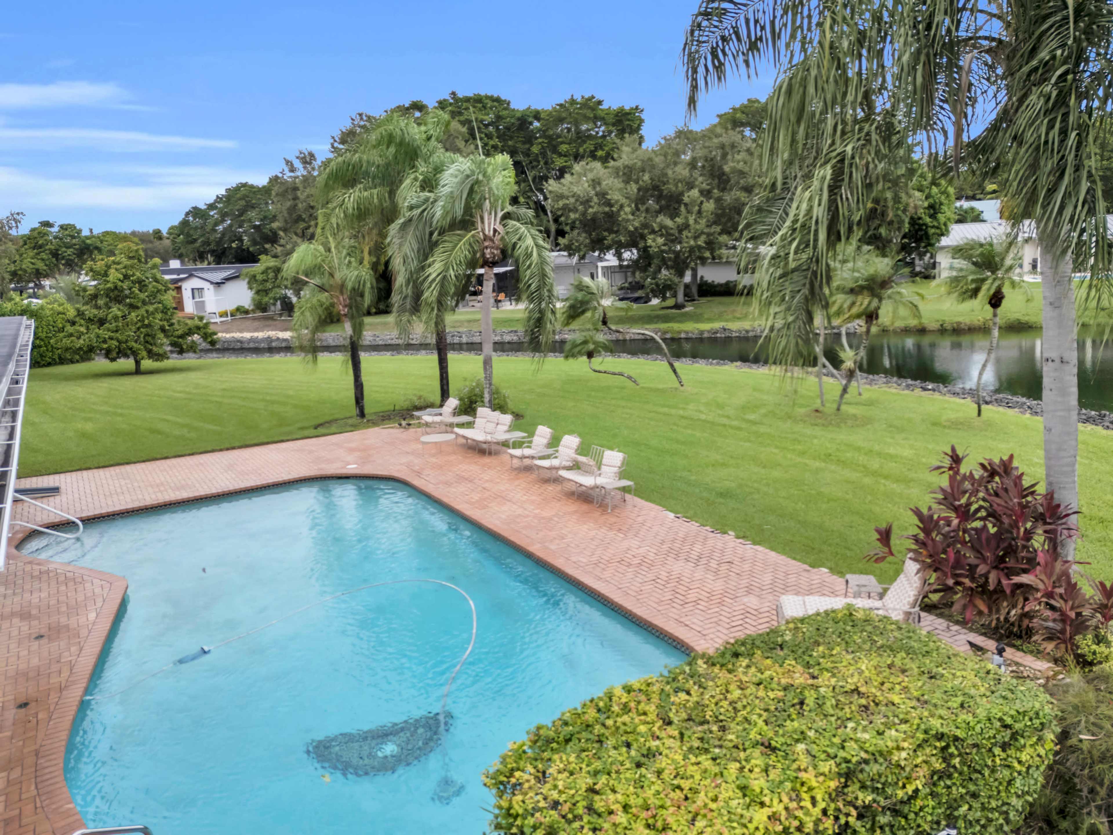 The image shows a swimming pool surrounded by lounge chairs, with palm trees and a grassy area leading to a lake in the background.