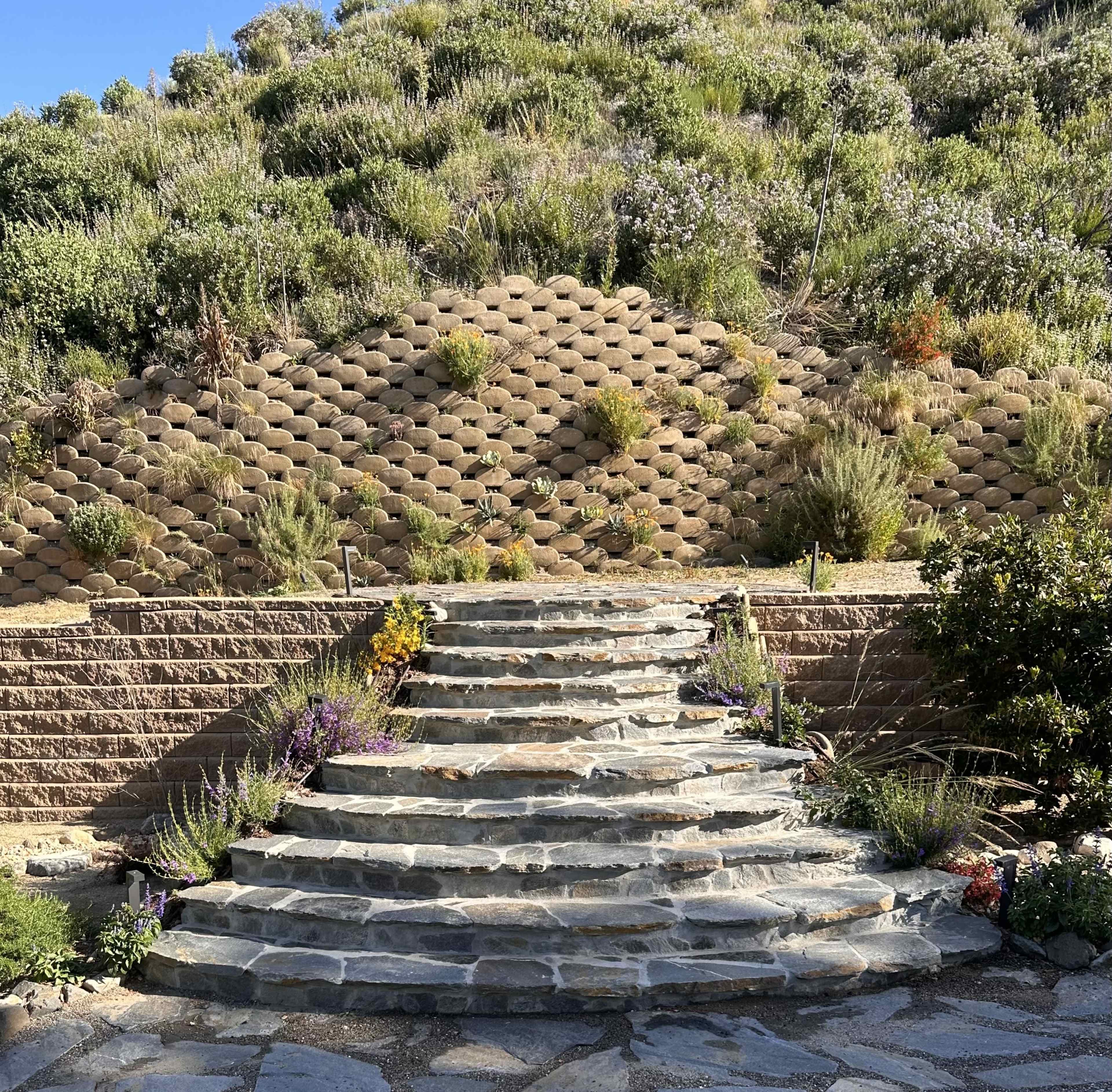 A stone staircase leads upward toward a terraced hillside filled with greenery and small plants.