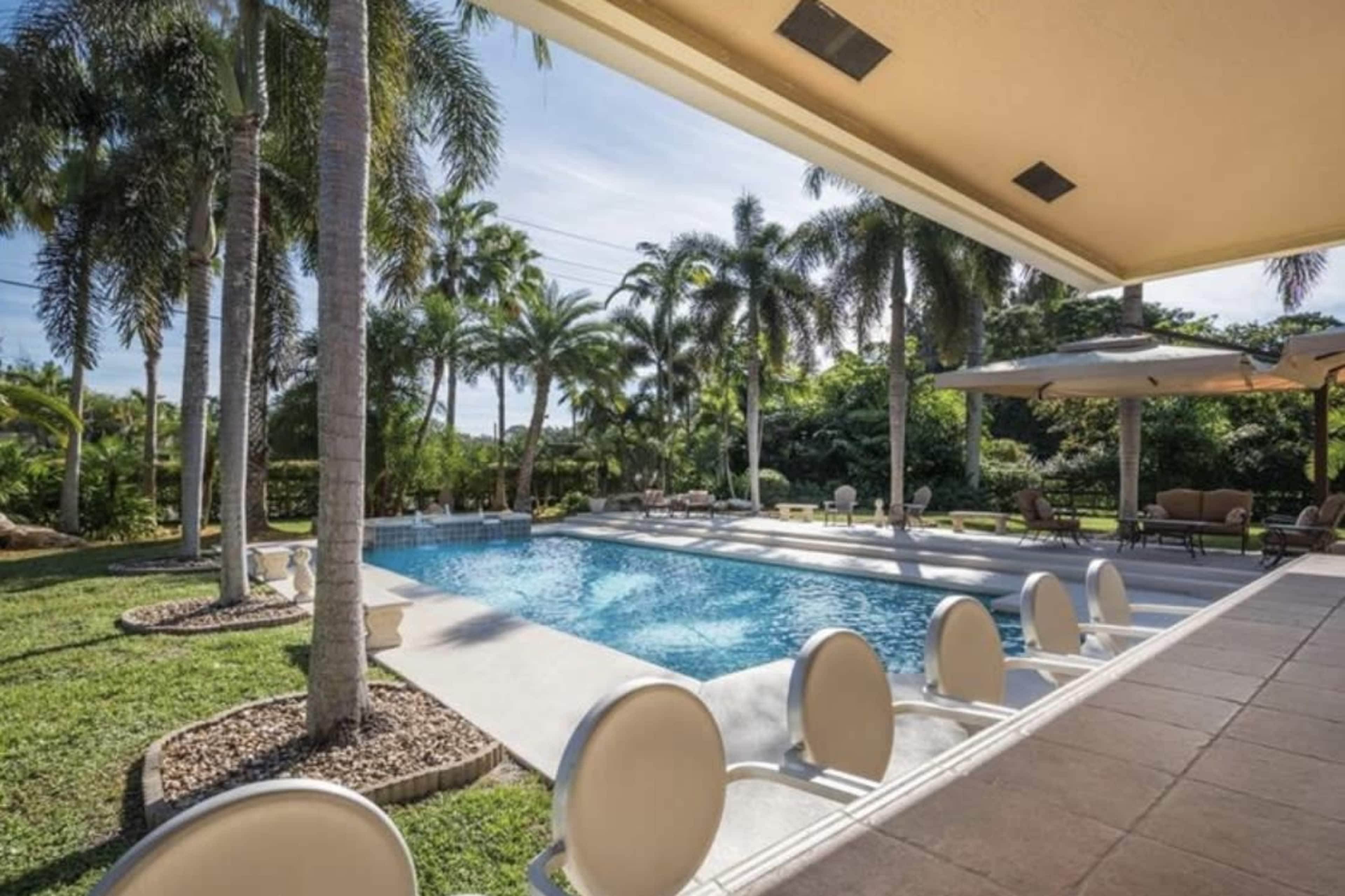 A swimming pool surrounded by palm trees and lounge chairs in a tropical backyard setting.