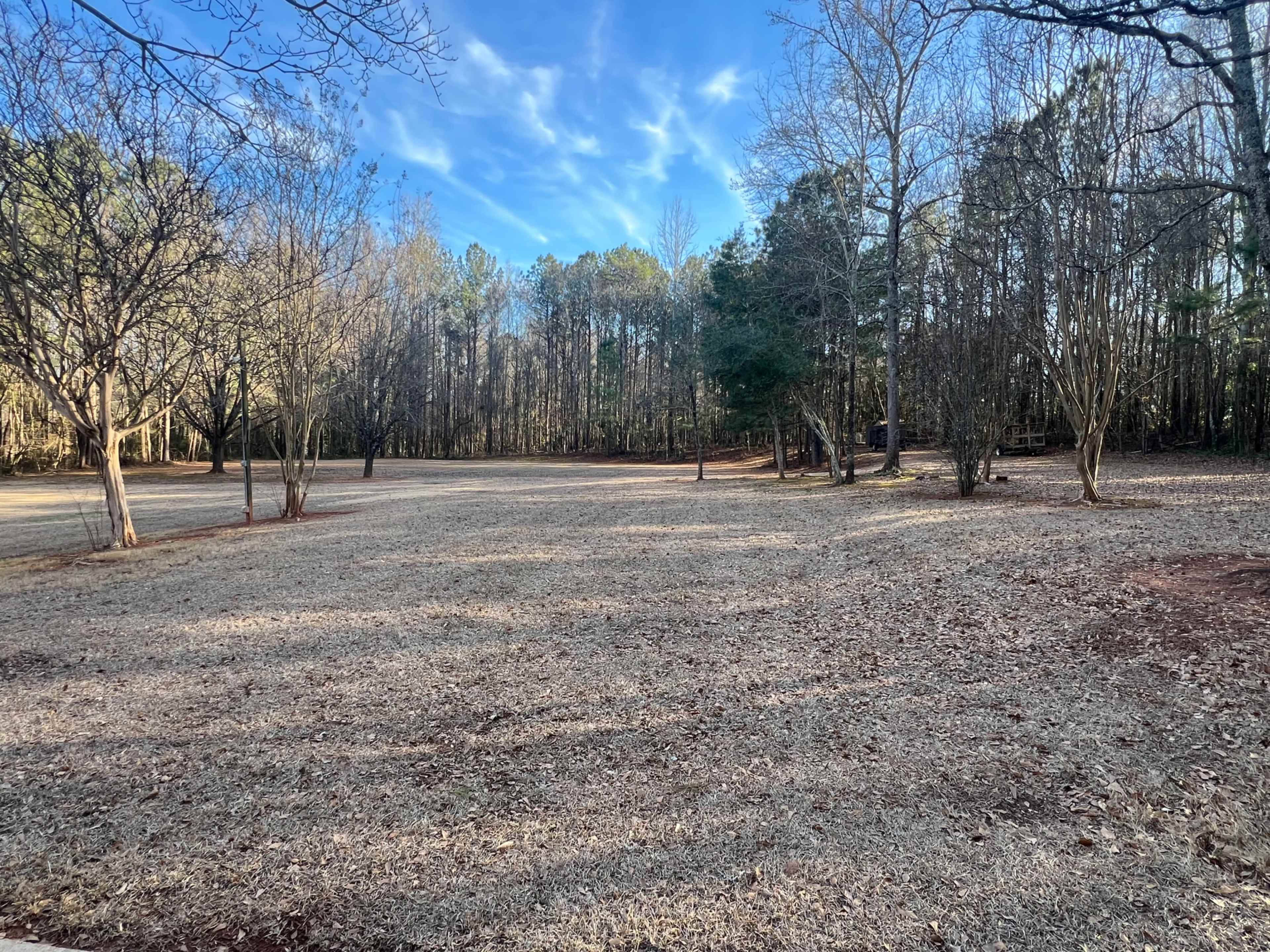 A grassy, open field is surrounded by sparse trees and bare branches under a clear blue sky.