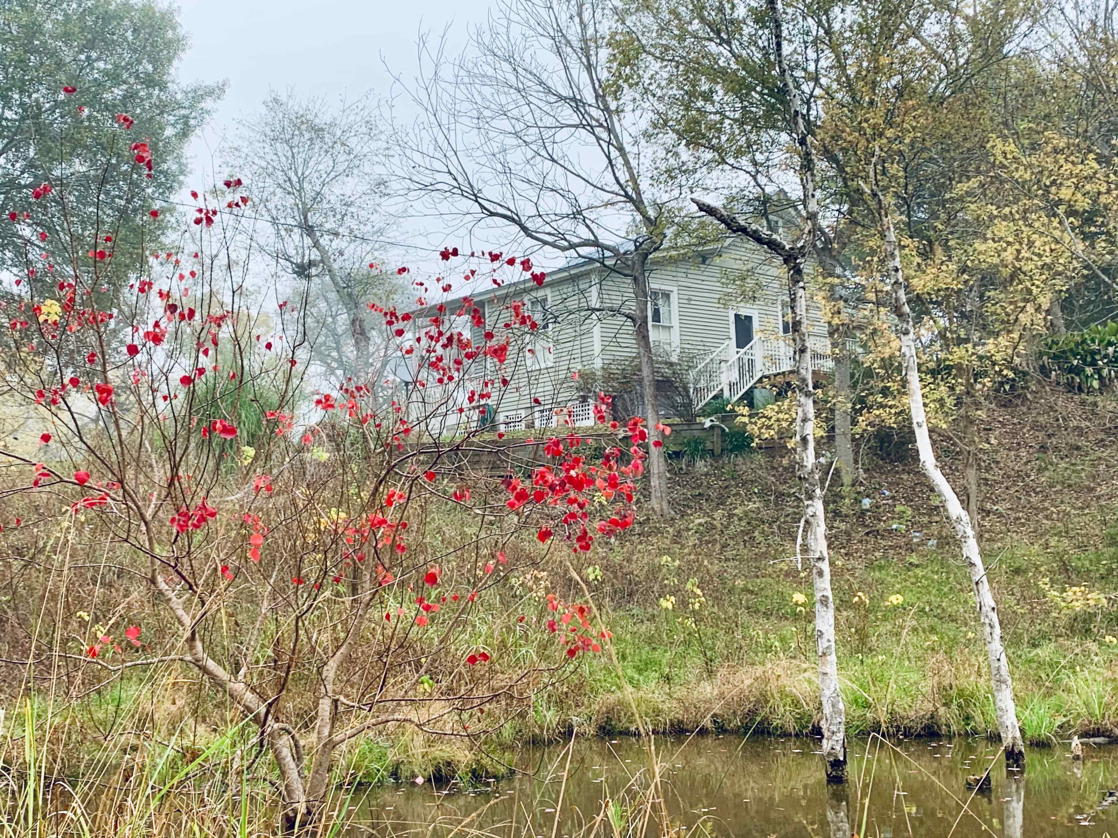 A two-story house sits on a hillside surrounded by trees and bushes, with red leaves in the foreground and a body of water nearby.