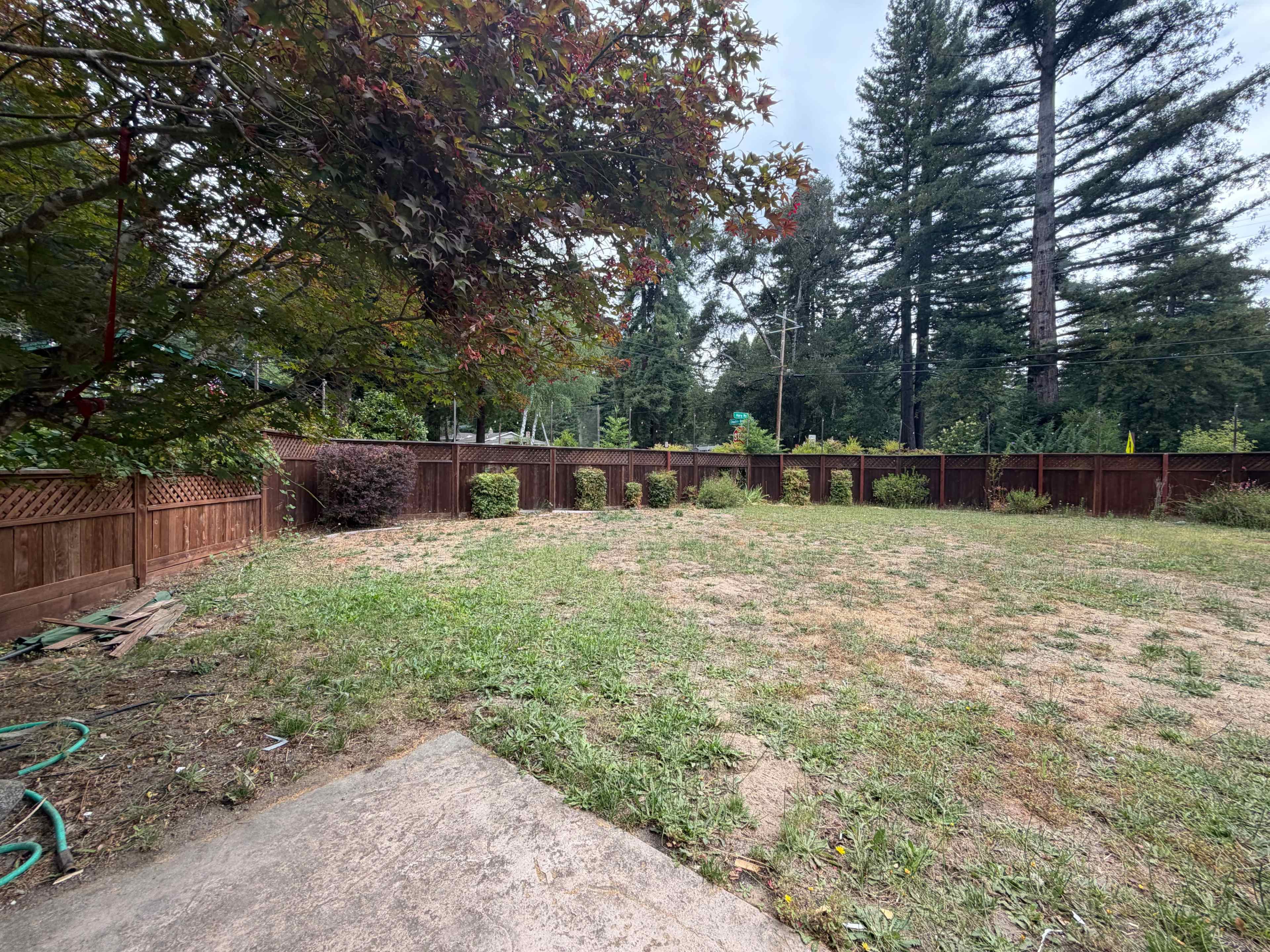 The image shows a grassy backyard surrounded by wooden fencing and trees in the background.